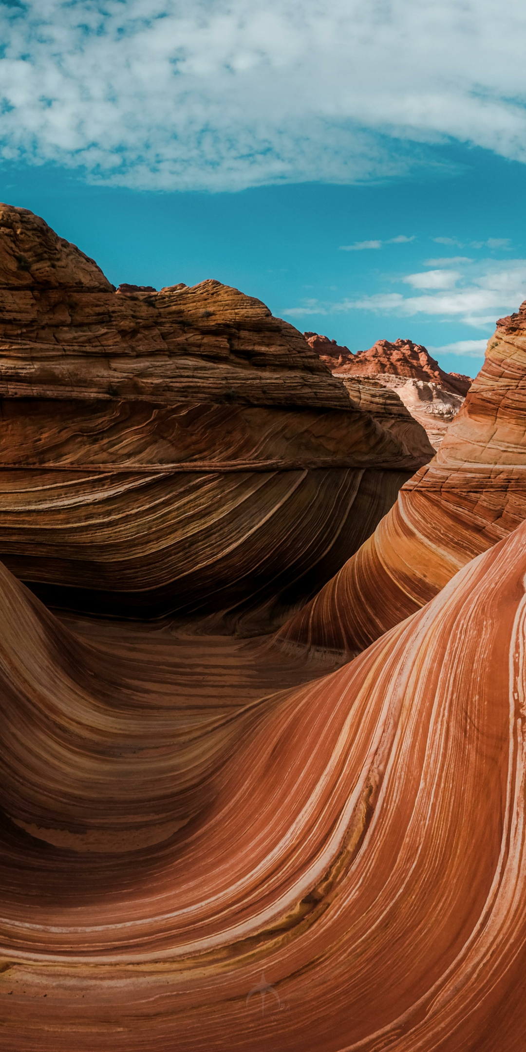 Rock Canyon, Arizona, landscape, nature, 1080x2160 wallpaper