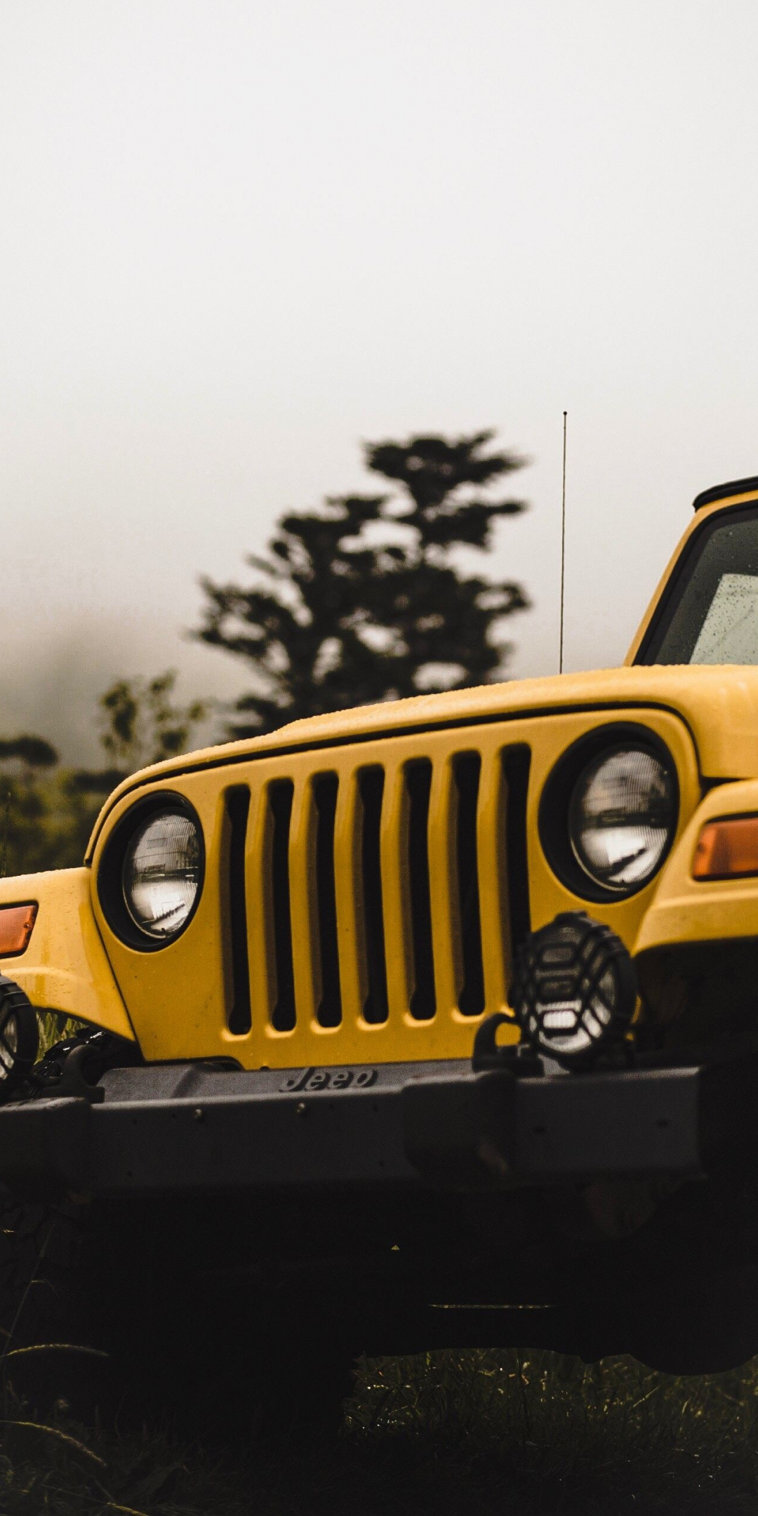 Yellow, Jeep, car, front, 1080x2160 wallpaper