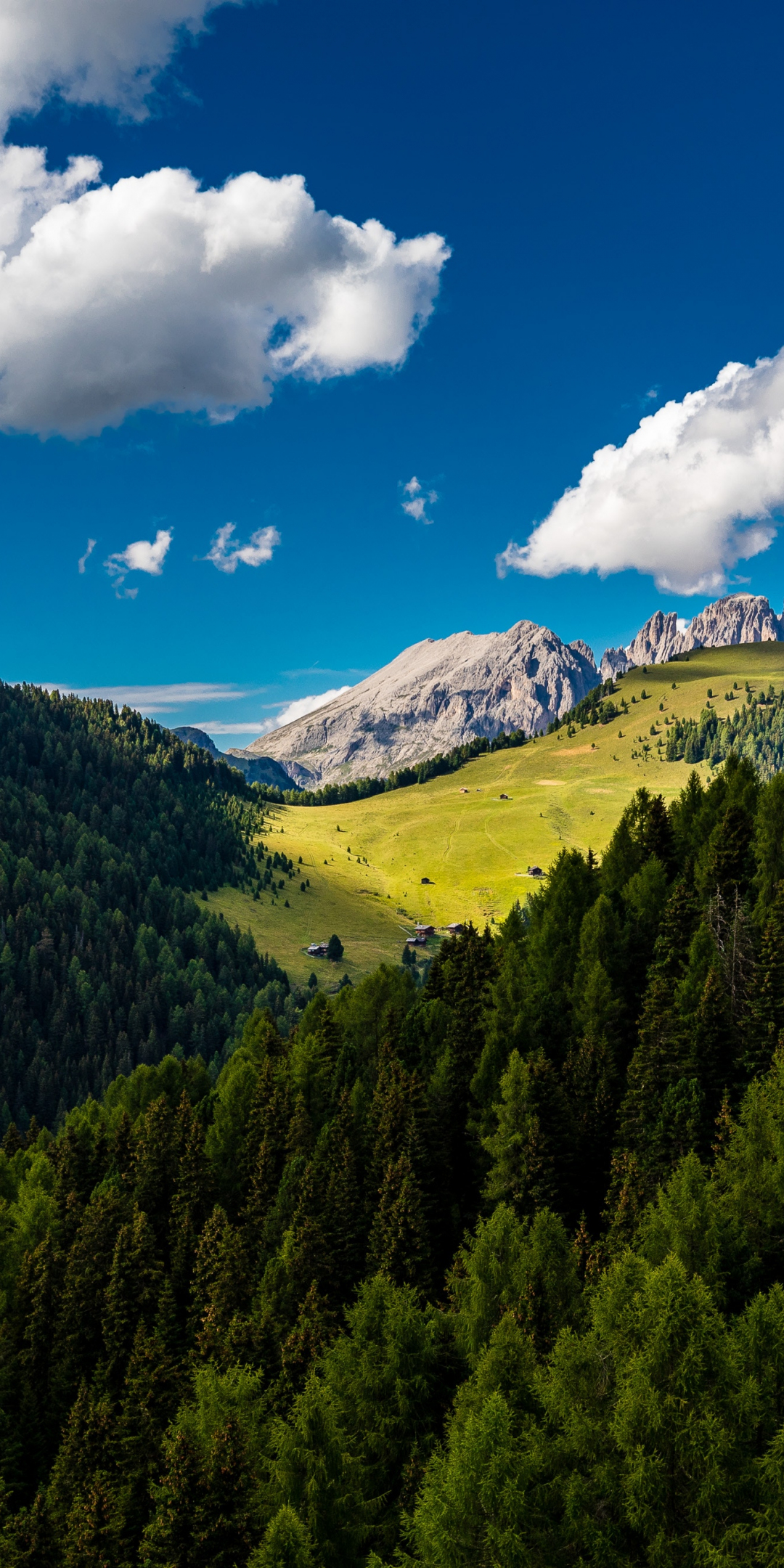 Trees, mountains, clouds, summer, sunny day, 1080x2160 wallpaper