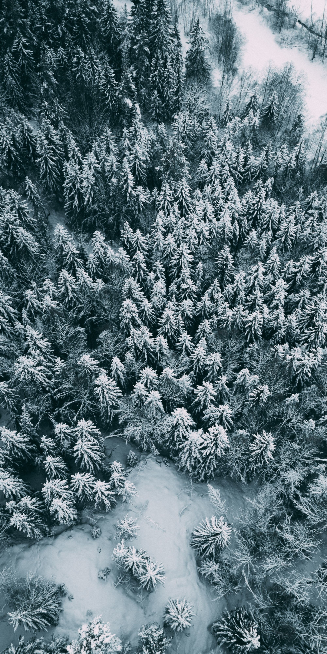 Aerial view, winter, pine trees, frost, 1080x2160 wallpaper