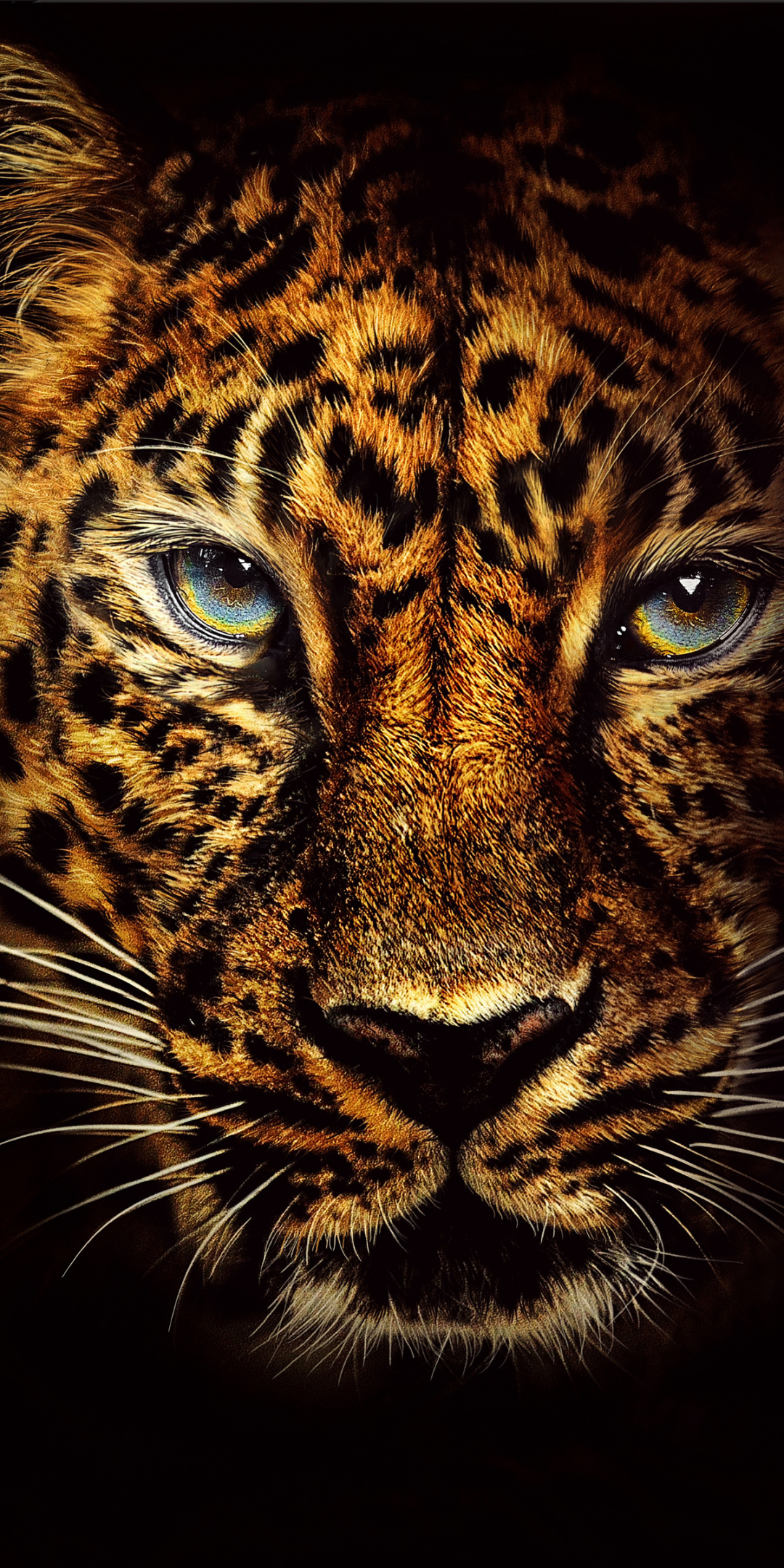 Leopard, predator, Jumanji: Welcome to the Jungle, muzzle, 1080x2160 wallpaper