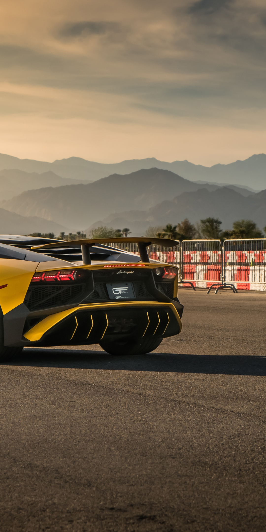 Lamborghini Aventador SVJ, yellow, rear view, 2019, 1080x2160 wallpaper
