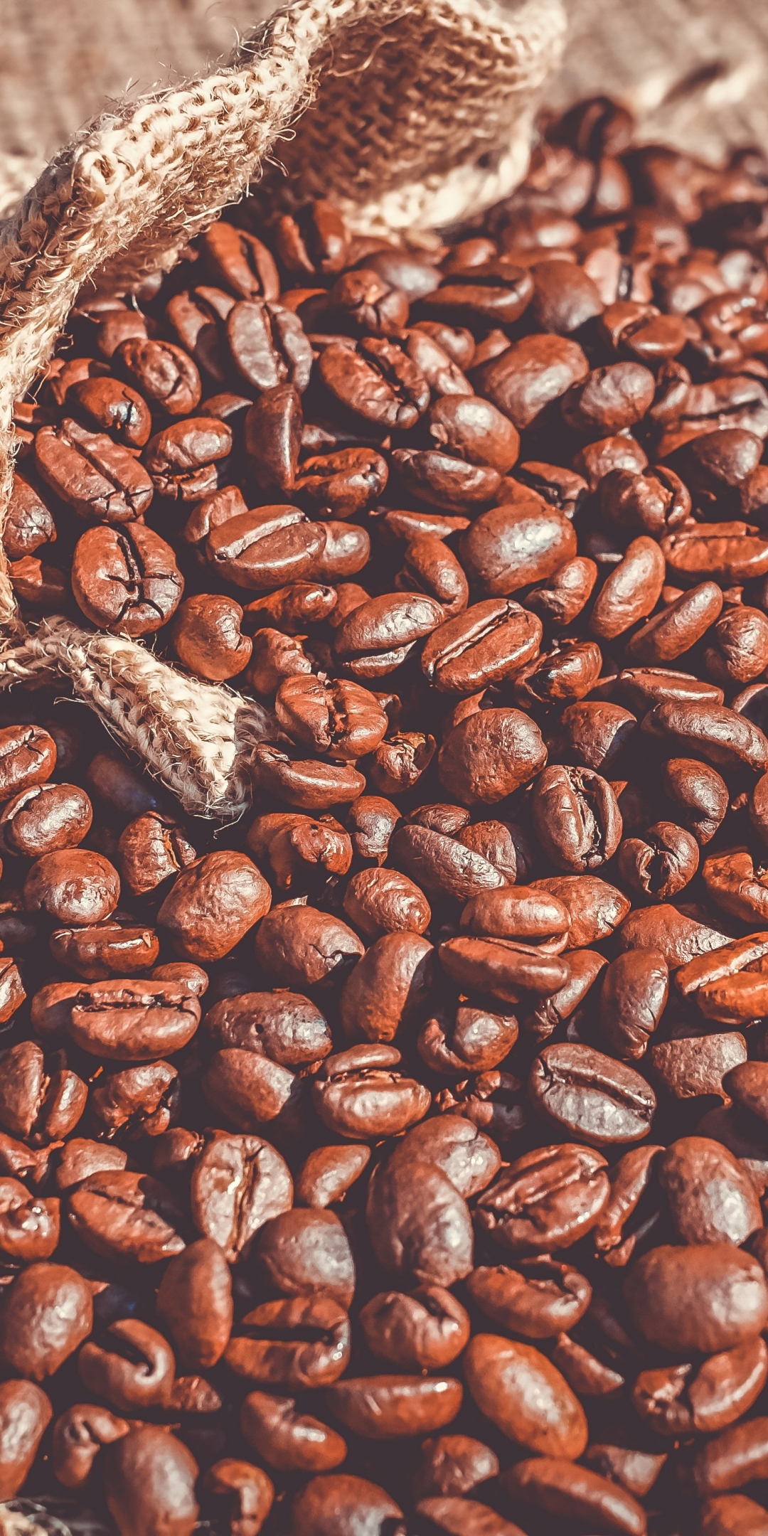 Coffee beans, roasted, 1080x2160 wallpaper