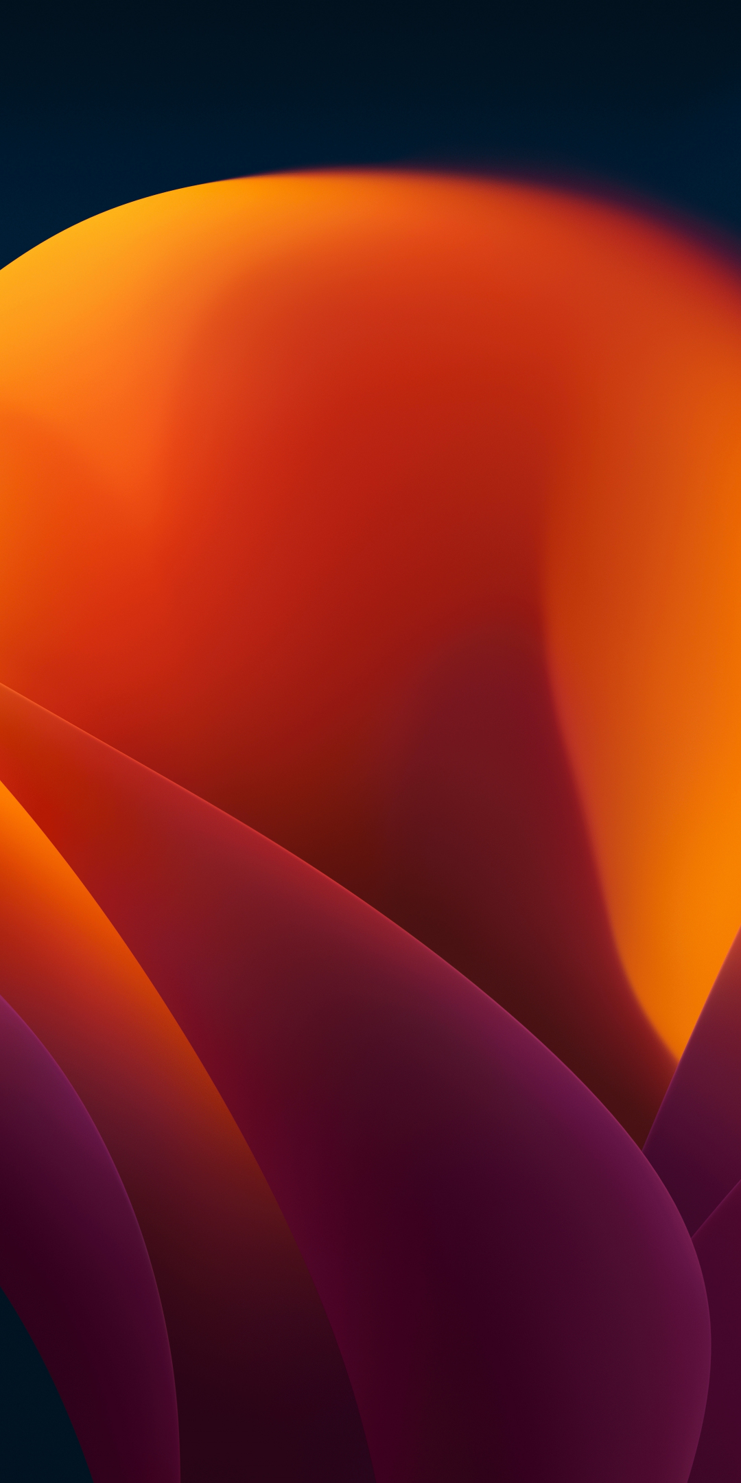 Orange flower, blossom, abstract, apple stock, 1080x2160 wallpaper