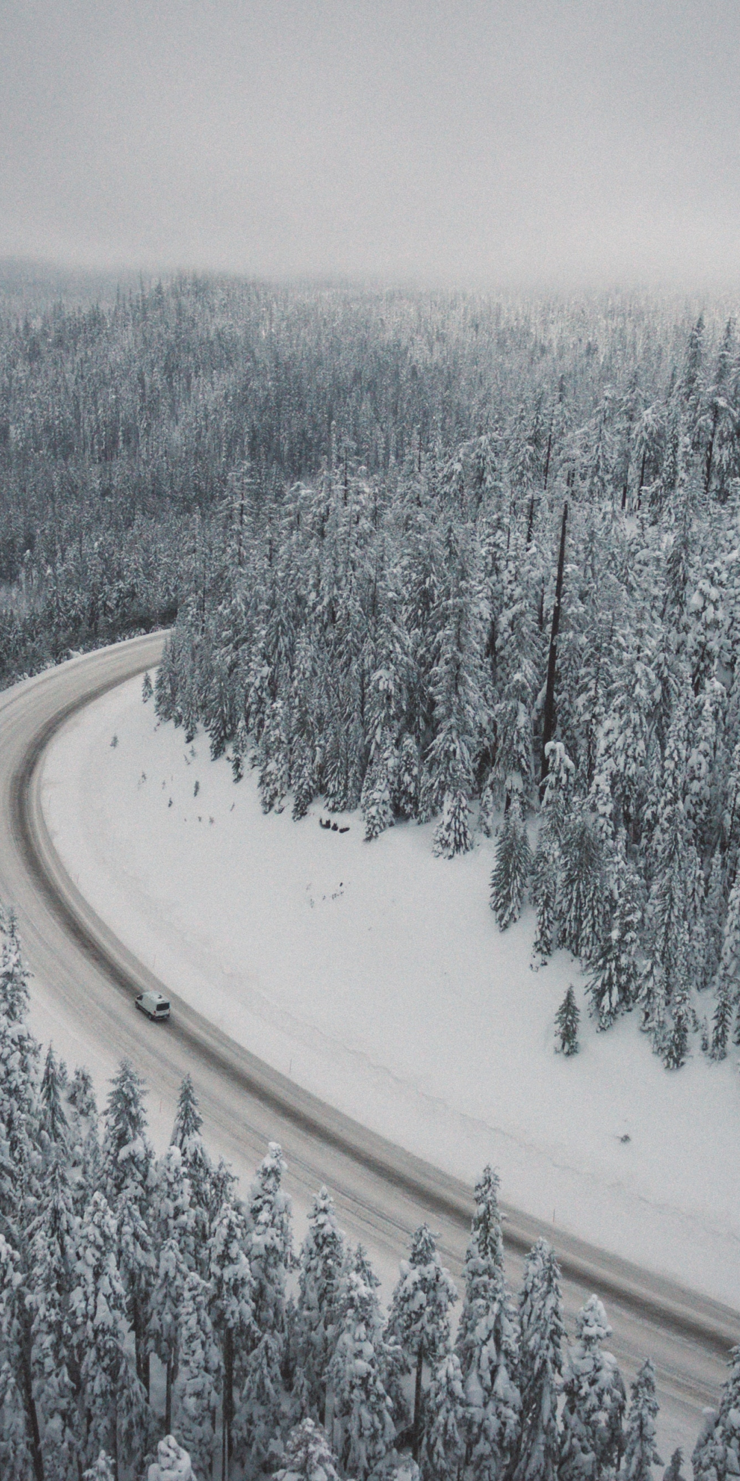 Winter, snowfrost, trees, forest, nature, road, aerial view, 1080x2160 wallpaper
