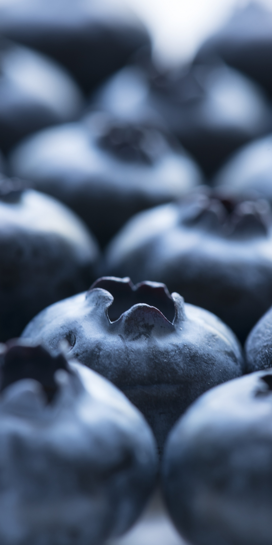 Fruit, blueberry, close up, 1080x2160 wallpaper