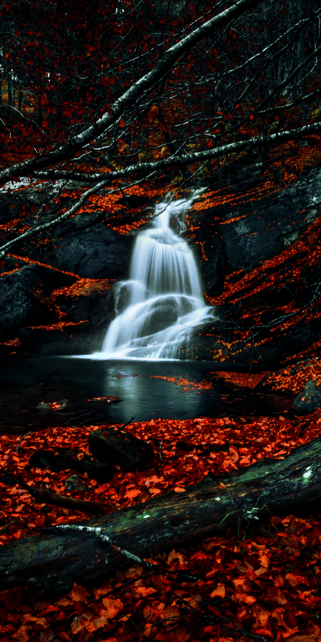 Autumn, red leaves, forest, waterfall, river, water stream, 1080x2160 wallpaper