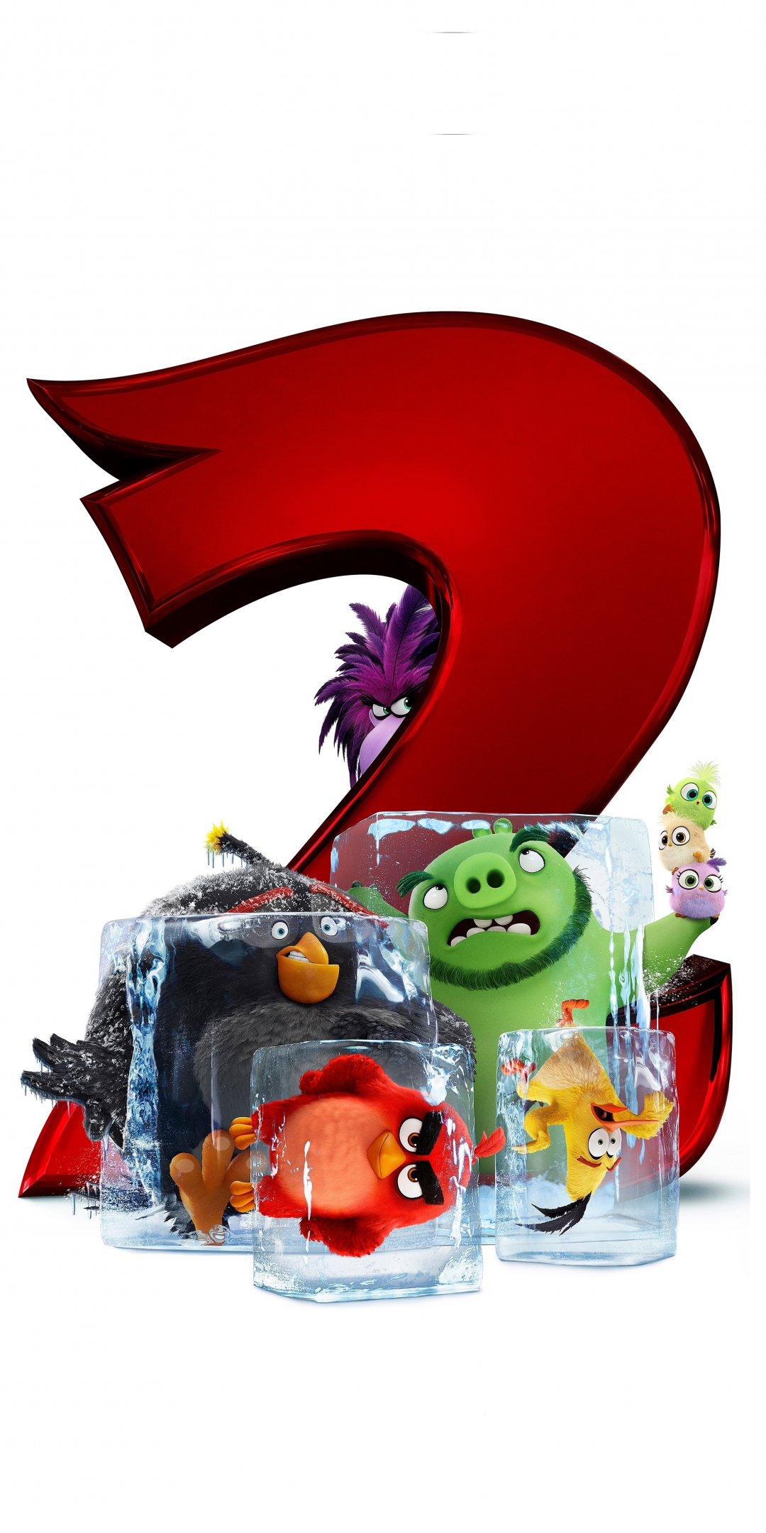The Angry Birds Movie 2, 2019, 1080x2160 wallpaper