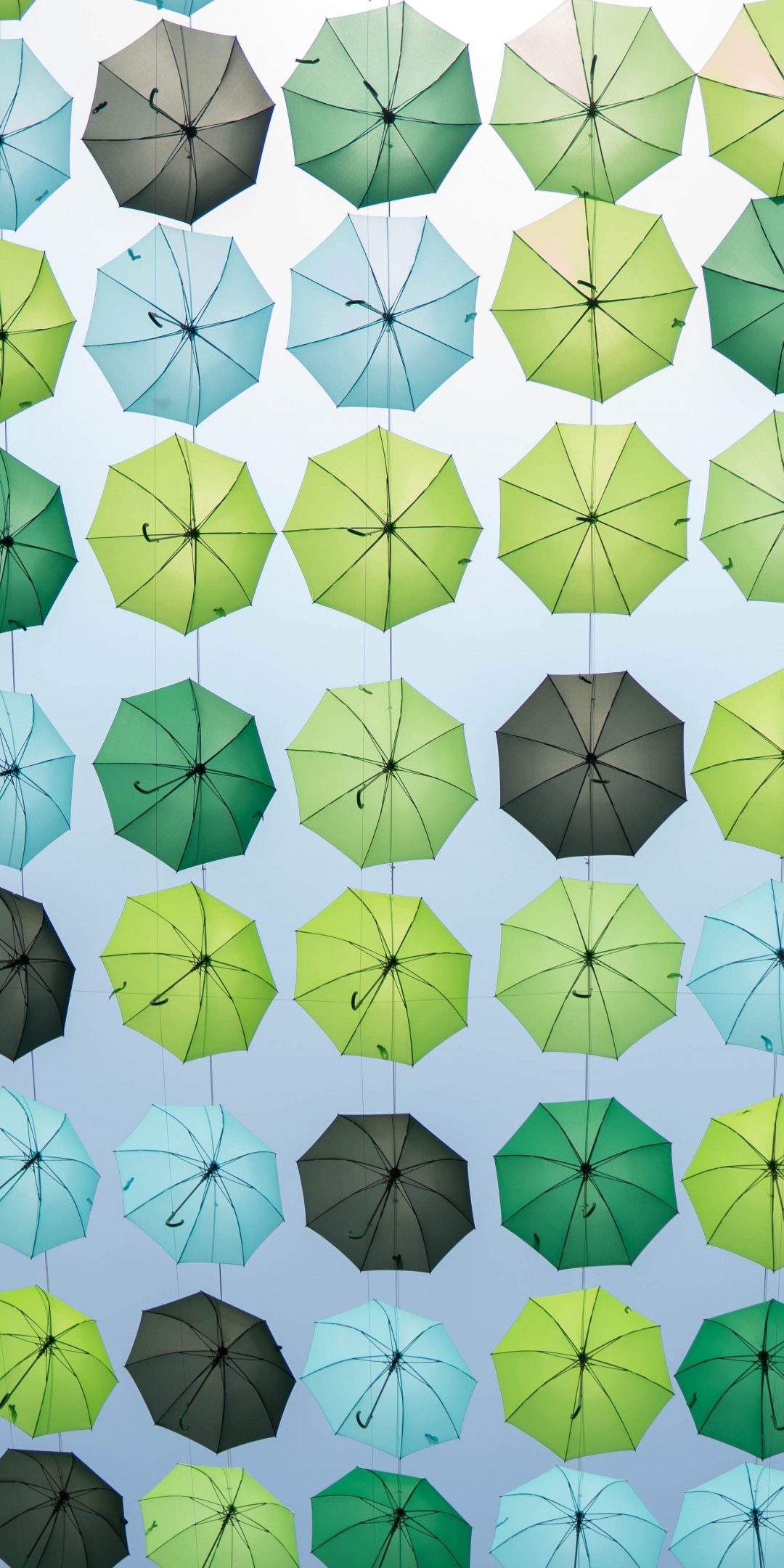 Greenish umbrella, decoration, 1080x2160 wallpaper