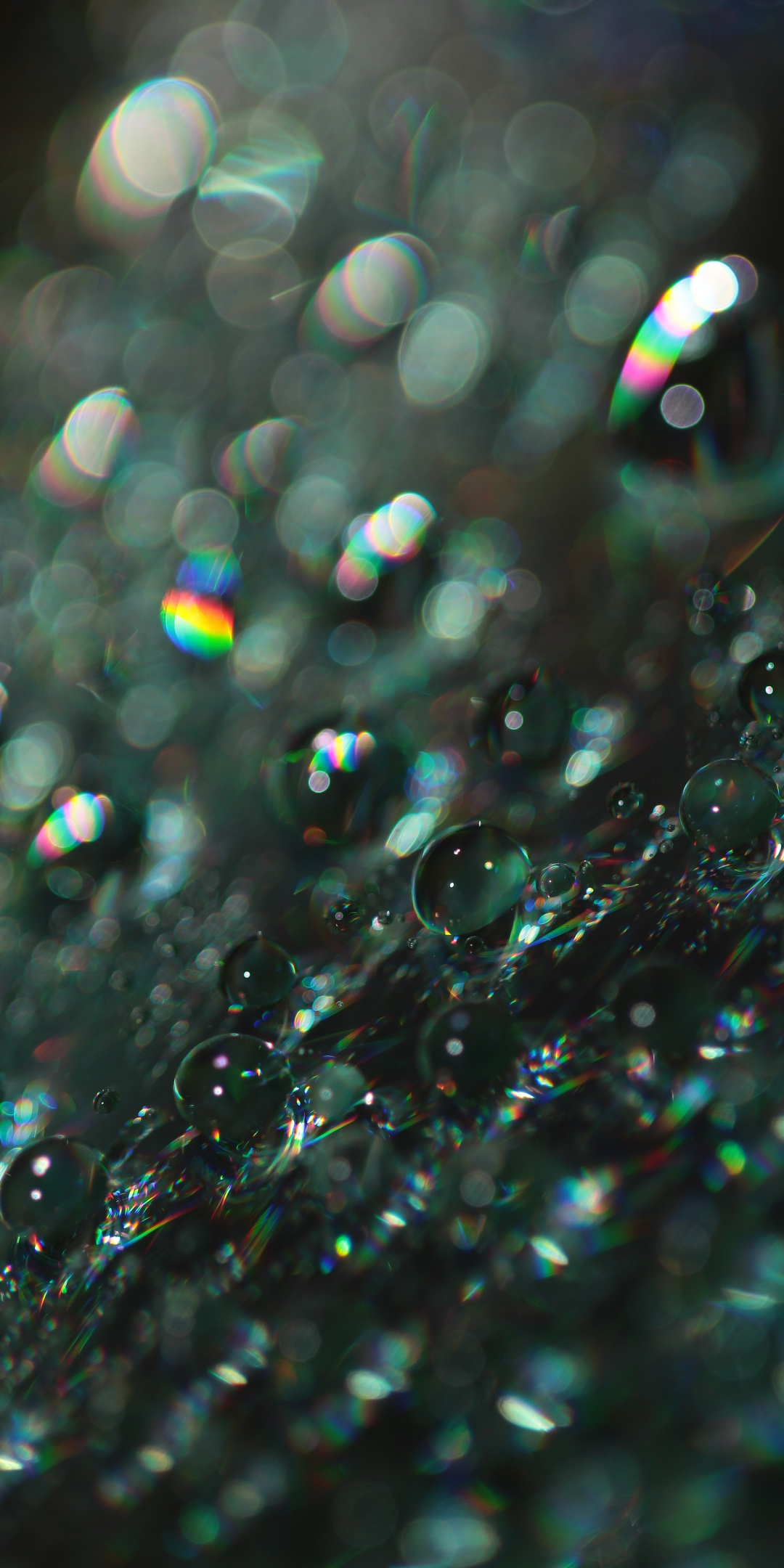 Bubbles, shine, blur, bokeh, macro, 1080x2160 wallpaper