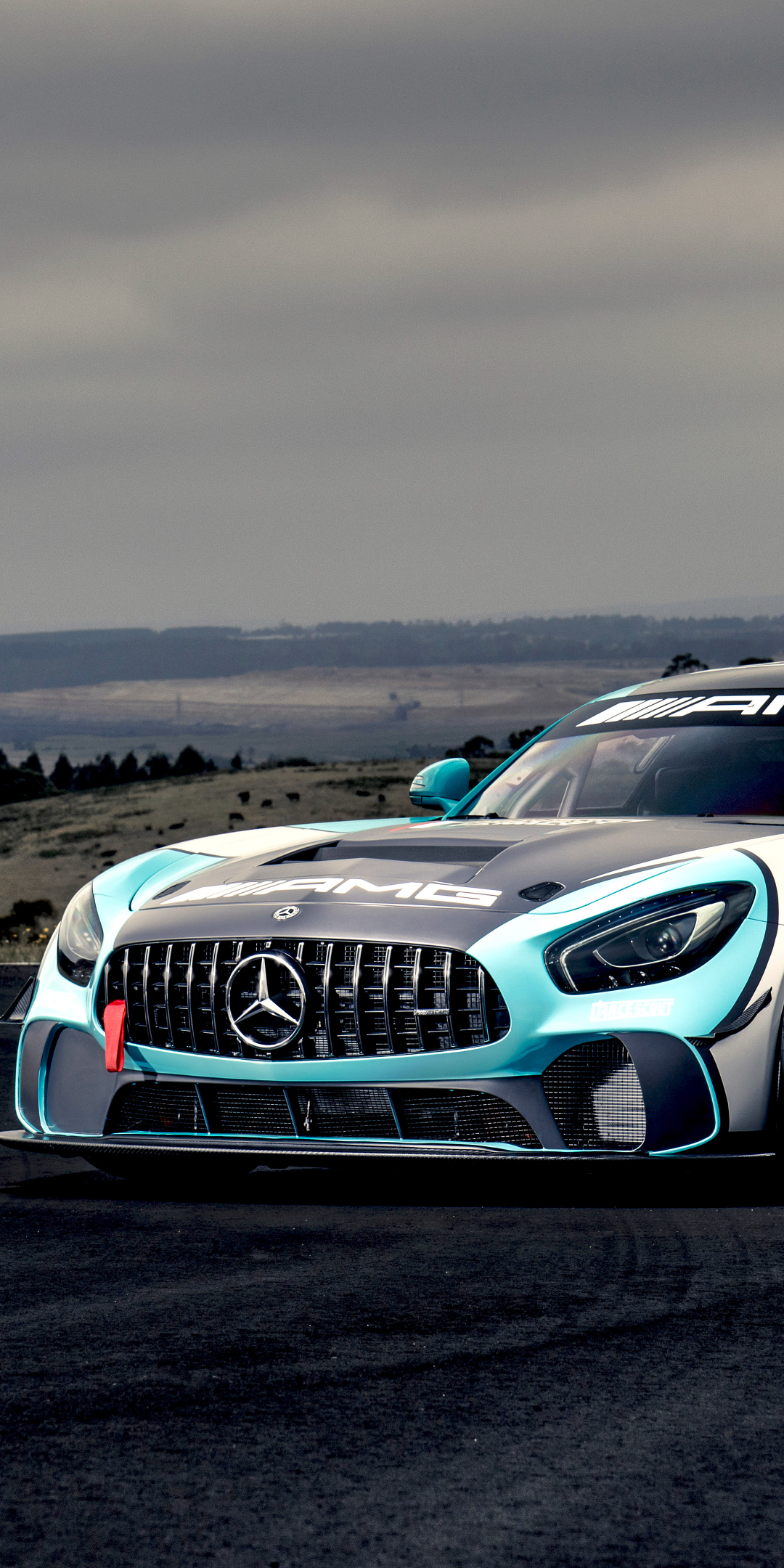 Mercedes-AMG GT4, sports car, 2019, 1080x2160 wallpaper