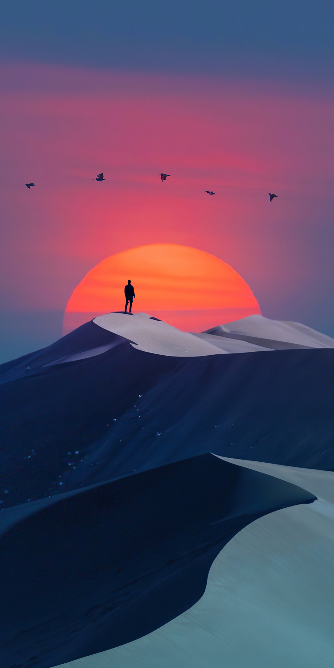 Birds over desert, sunset & man, silhouette, minimal art, 1080x2160 wallpaper