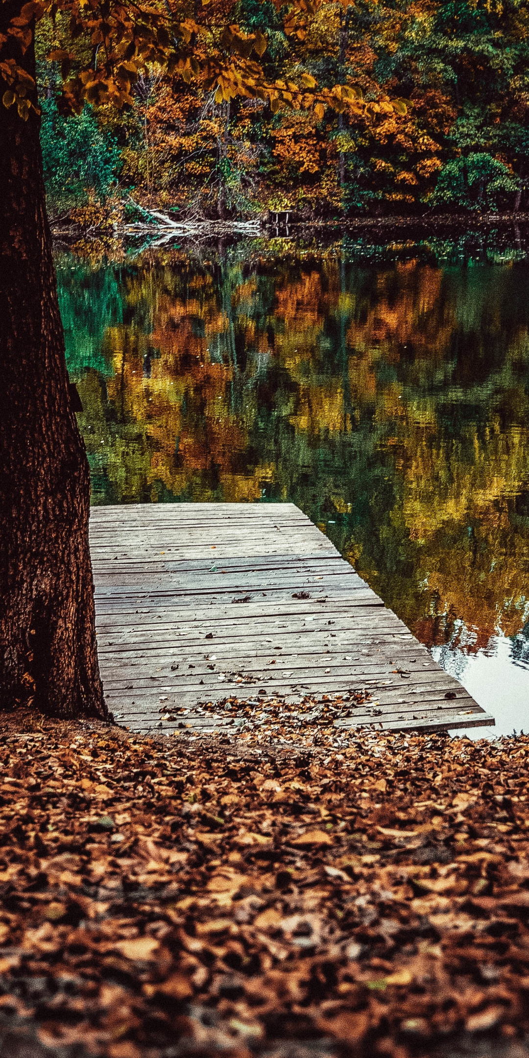 Pier, lake, fall, leaves, autumn, lake, reflections, 1080x2160 wallpaper