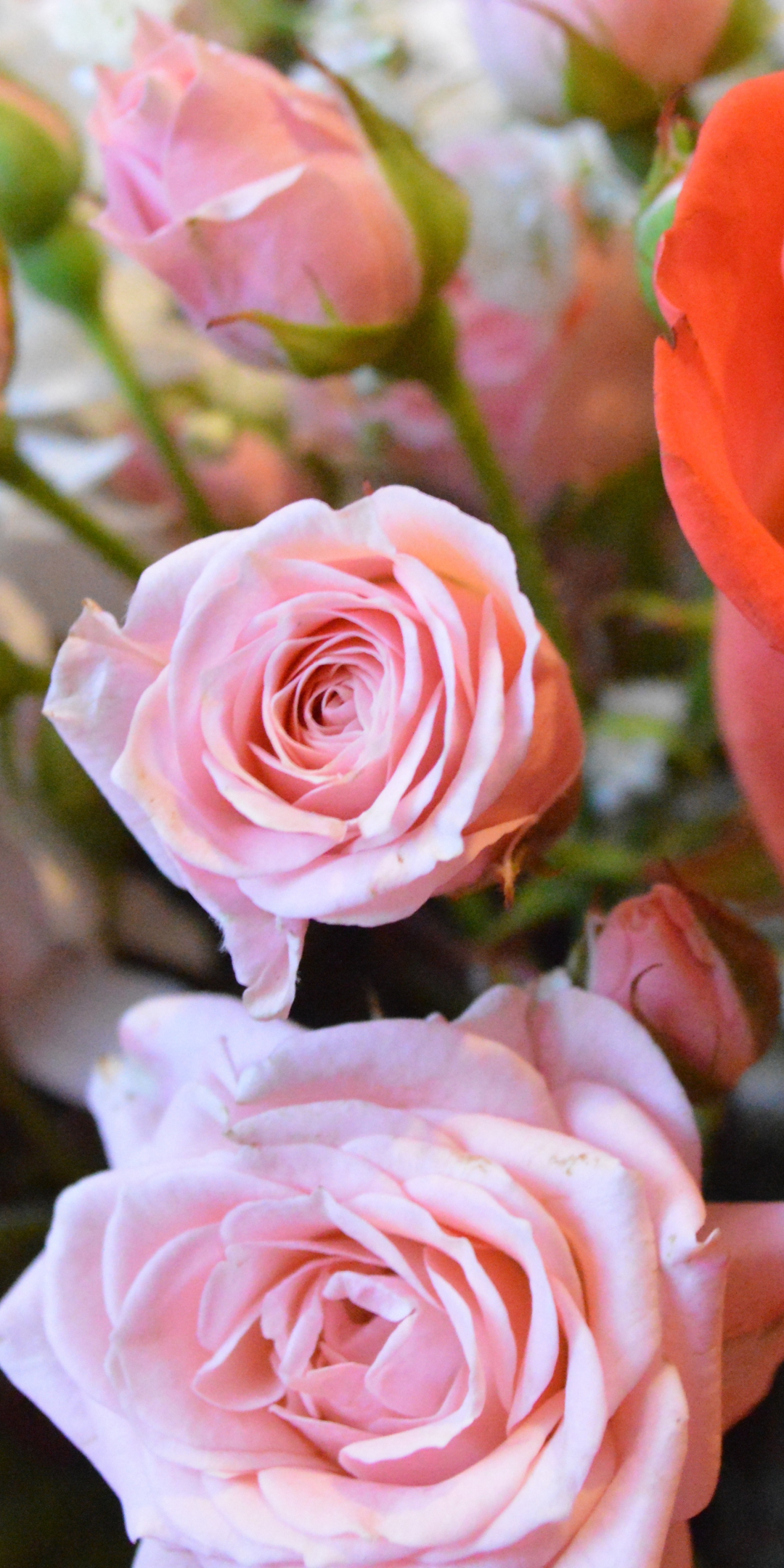 Bouquet, rose, colorful, 1080x2160 wallpaper