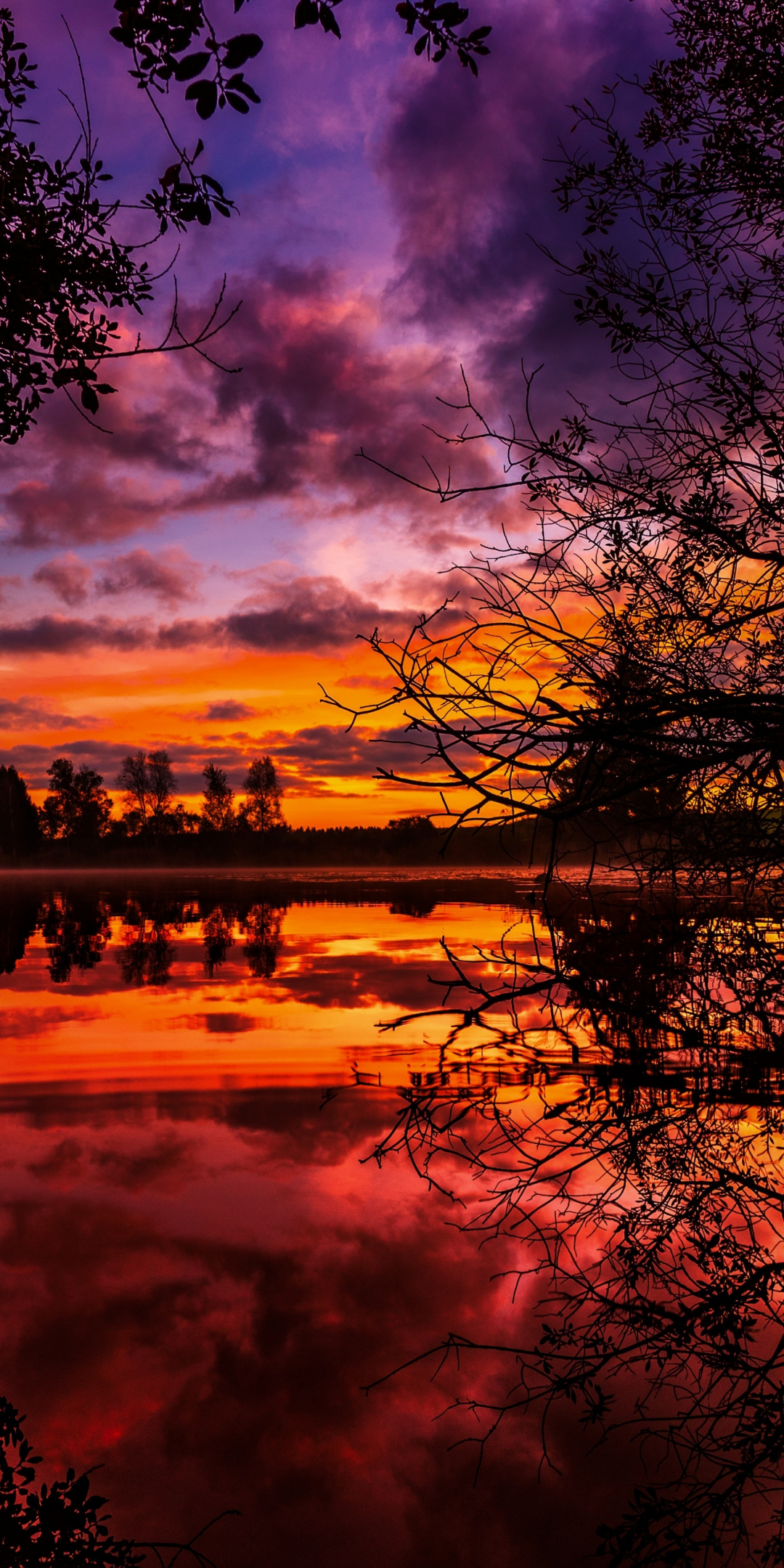 Sunrise, clouds, lake, trees, reflections, 1080x2160 wallpaper