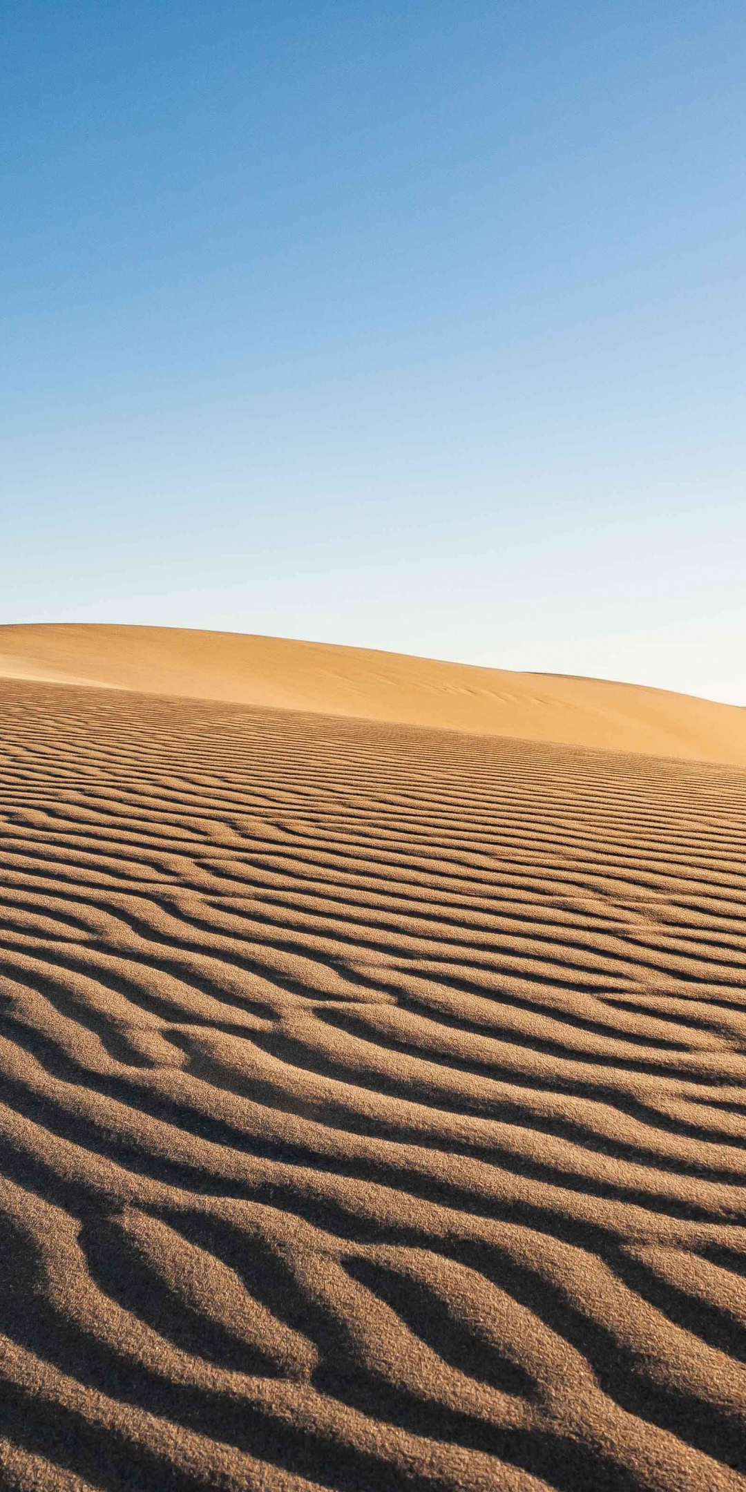 Download sahara, desert, sand surface, nature 1080x2160 wallpaper ...