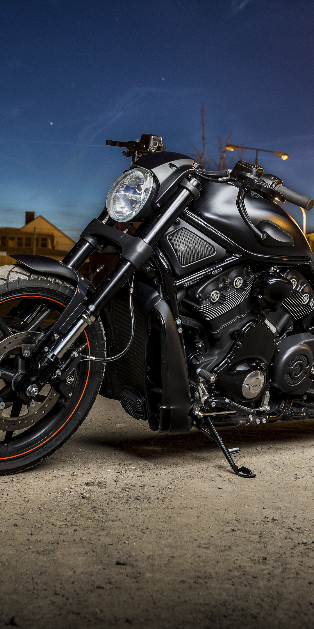 Harley Davidson, muscle bike, night out, 1080x2160 wallpaper