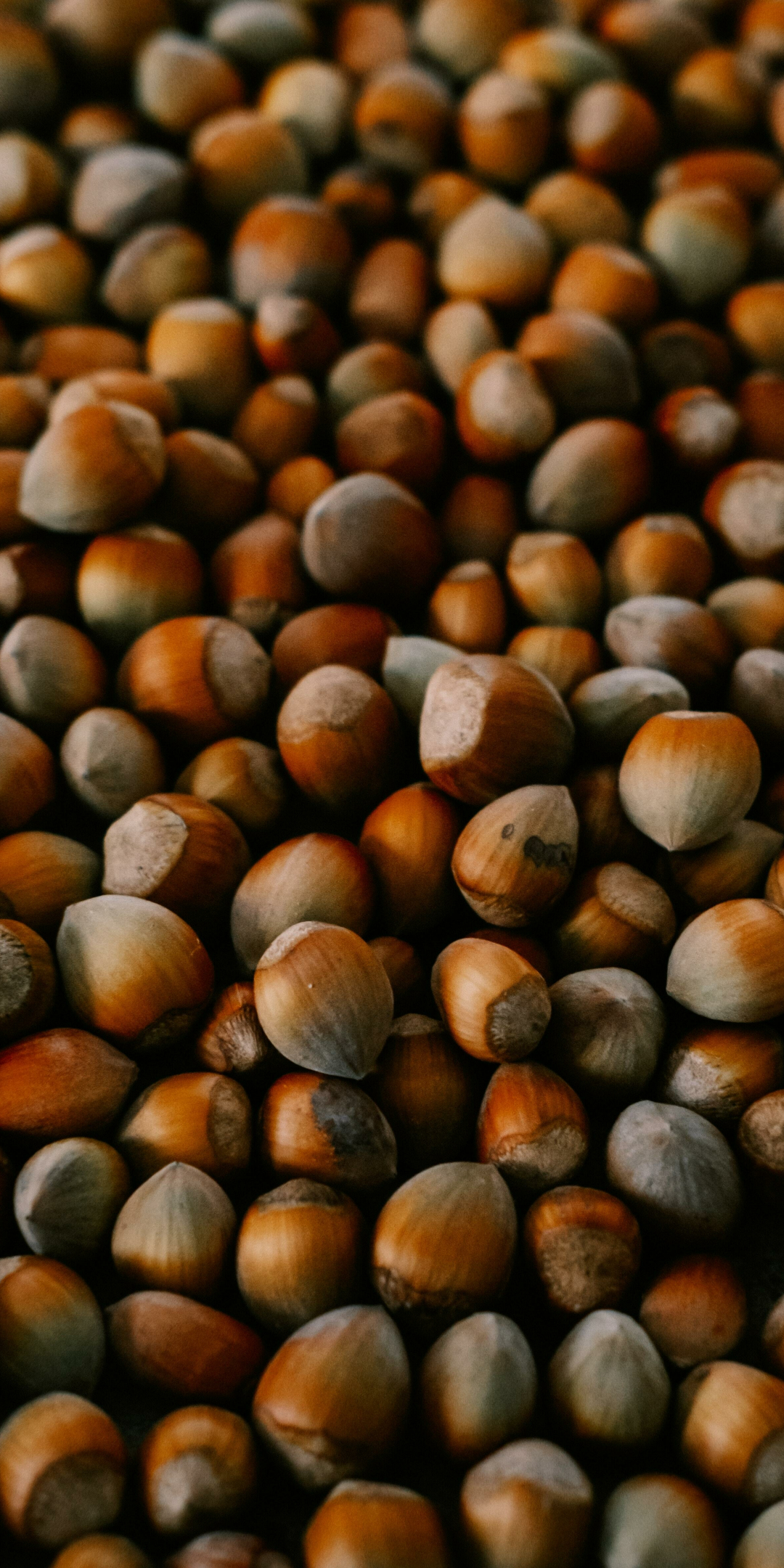 Nuts, close up, 1080x2160 wallpaper
