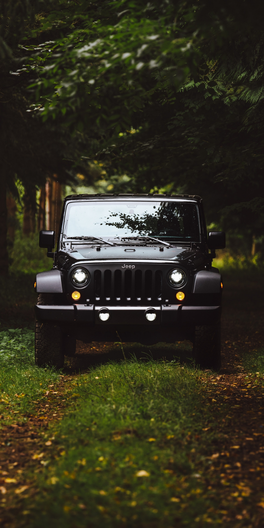 Black jeep, forest, Jeep Wrangler, 1080x2160 wallpaper
