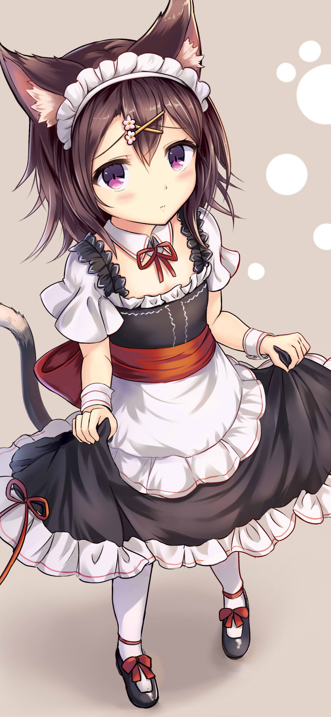 Red Age - Anime Neko Maid Girl PNG Image | Transparent PNG Free Download on  SeekPNG