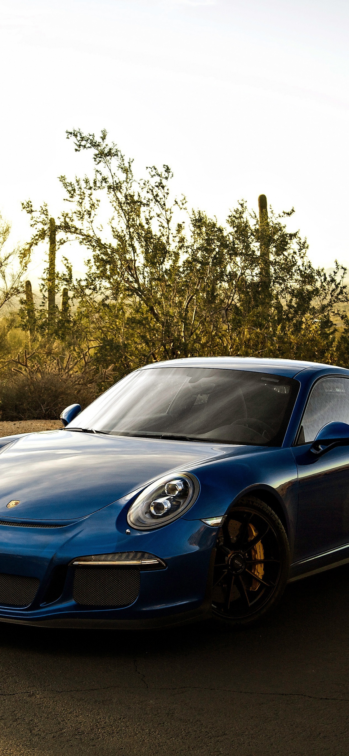 Download 1125x2436 Wallpaper Blue Car Sports Porsche 911 Gt3 Rs