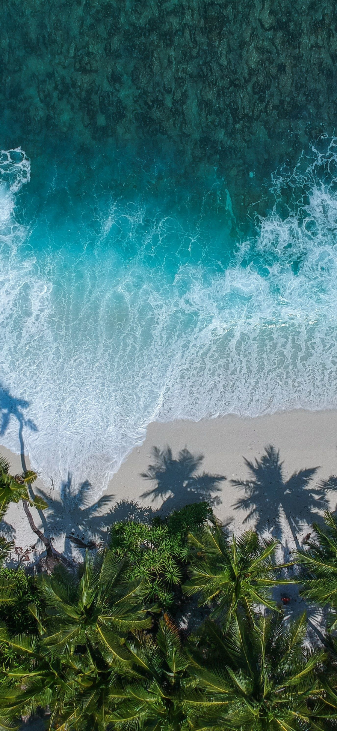 Download wallpaper 1125x2436 beautiful beach, aerial view, palm trees, sea,  iphone x, 1125x2436 hd background, 17336