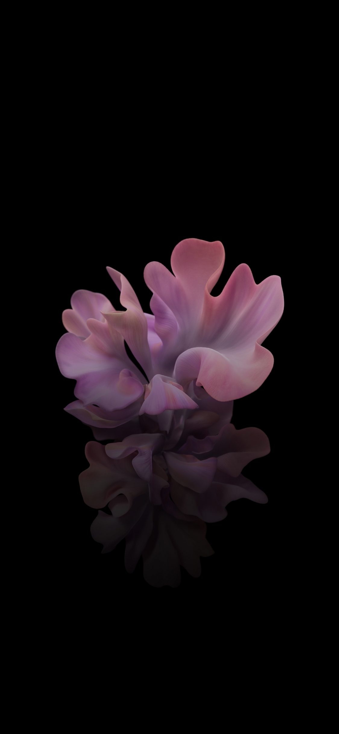 Download wallpaper 1125x2436 pink flower, reflections, stock, iphone x,  1125x2436 hd background, 25688