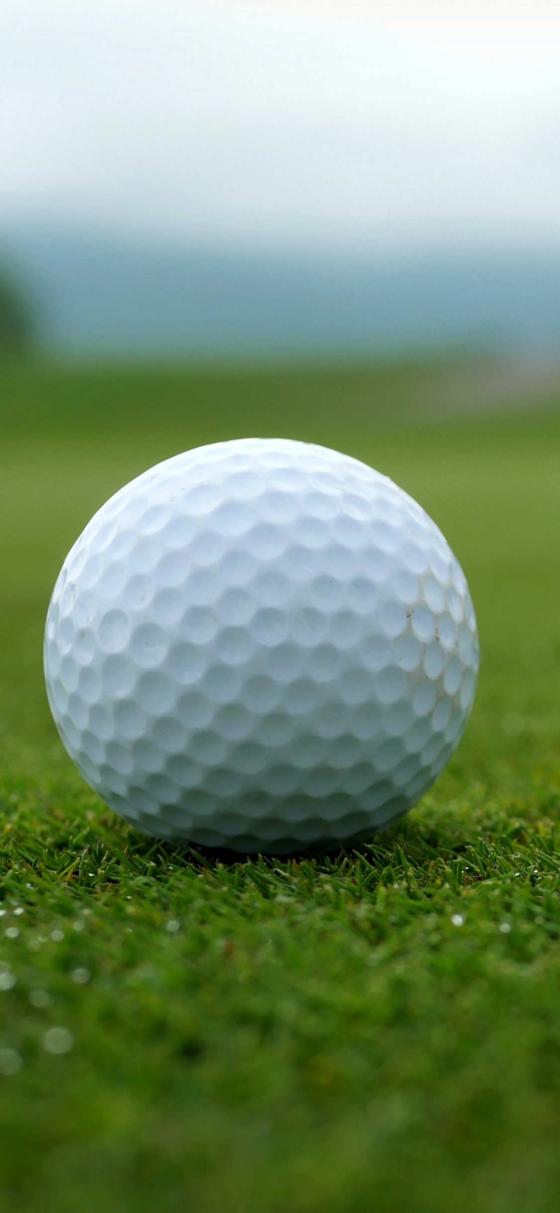 Download wallpaper 1125x2436 golf ball, white, sports, iphone x, 1125x2436  hd background, 24797