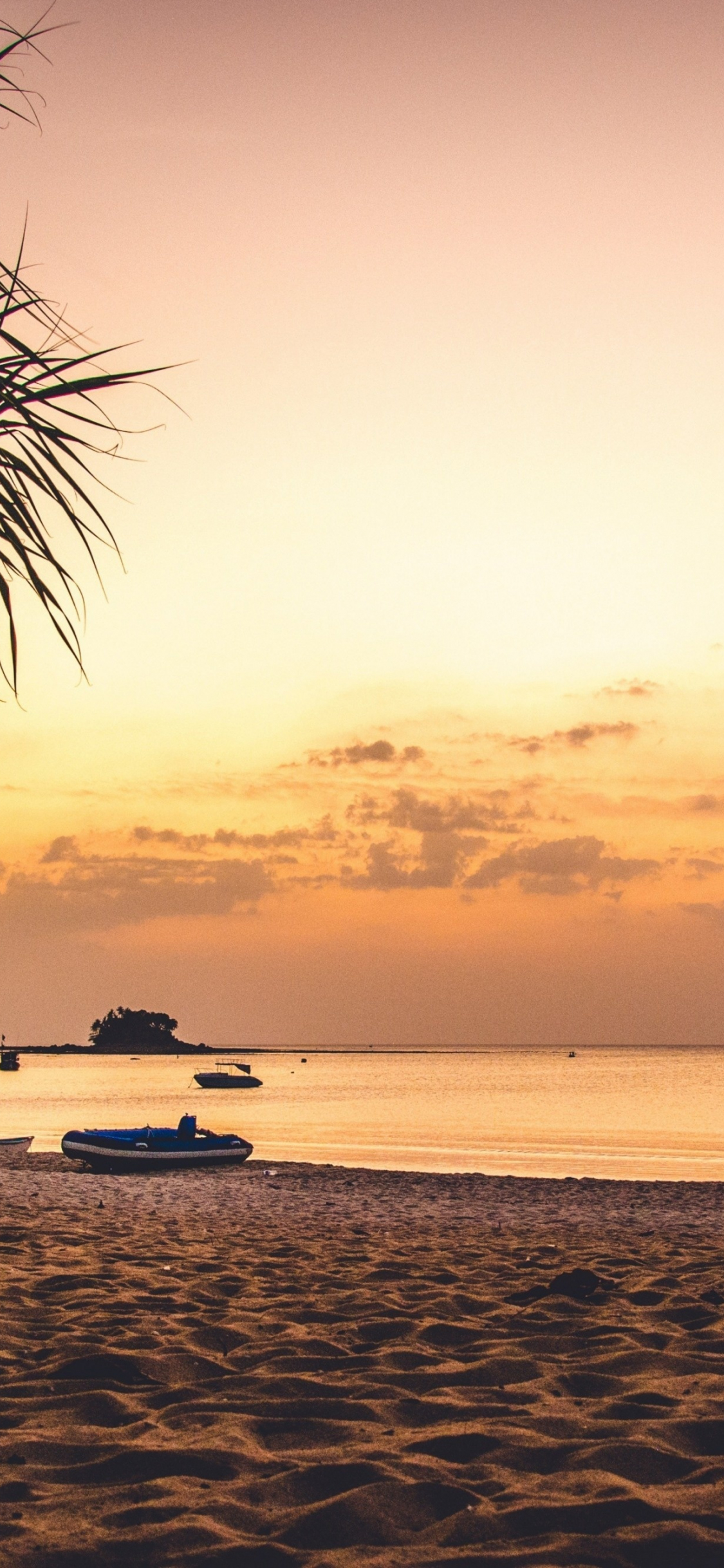 Download 1125x2436 Wallpaper Beach Sand Sky Palm Tree Sunset