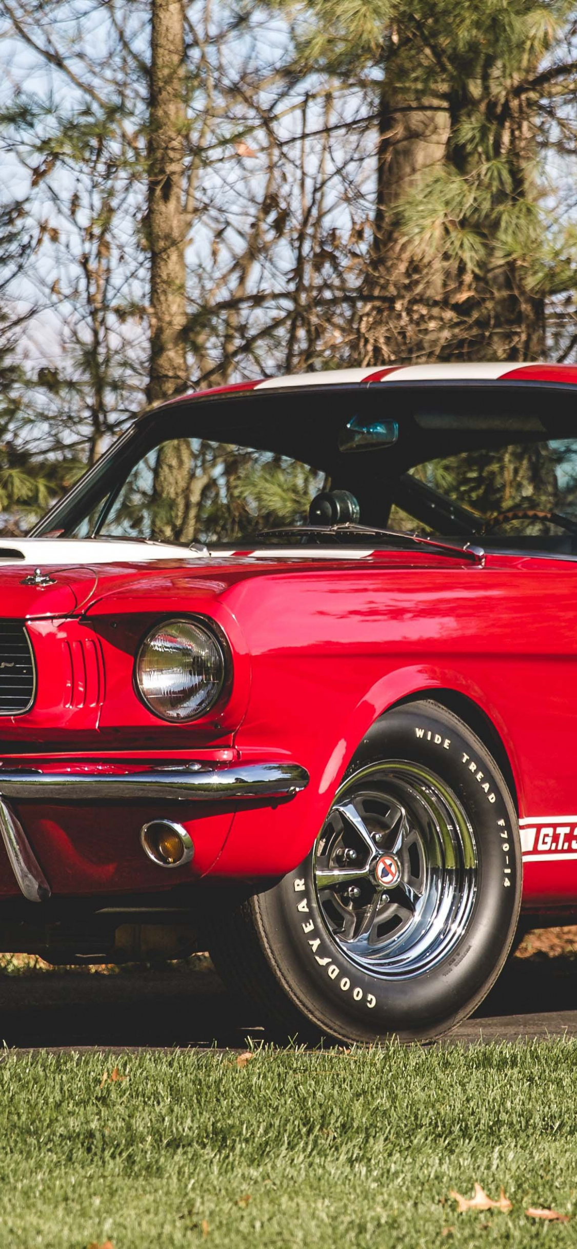 Replying to @Camacho1015 Mustang Shelby GT350 Wallpapers🔥🏎️#cars #gt... |  TikTok