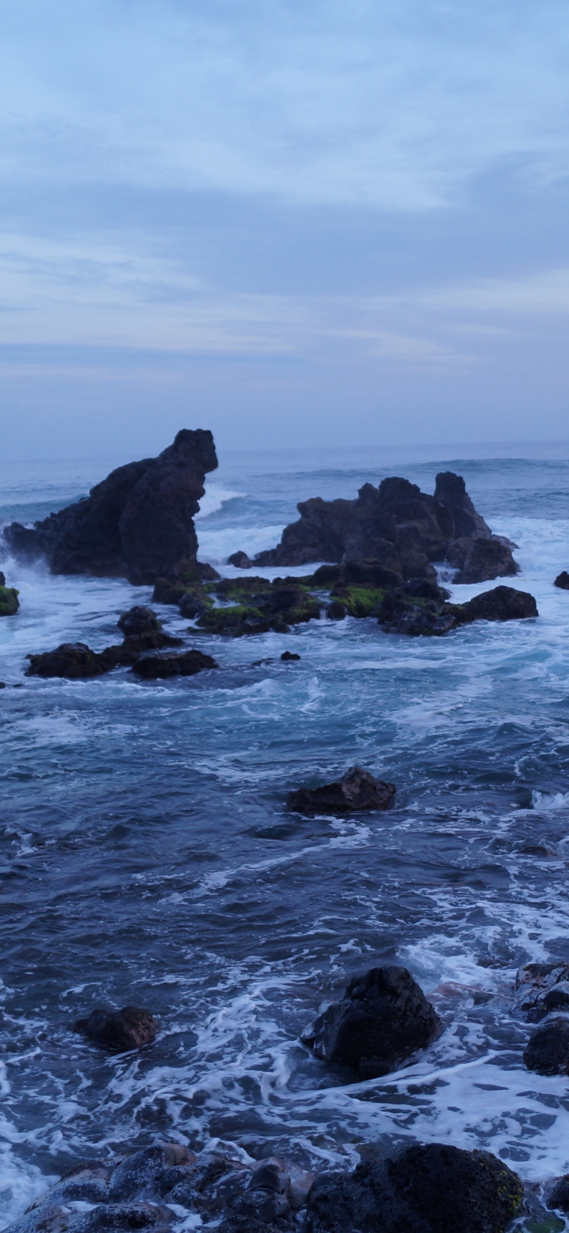 Download wallpaper 1125x2436 rocks, sea shore, coast, hawaii, iphone x,  1125x2436 hd background, 4770