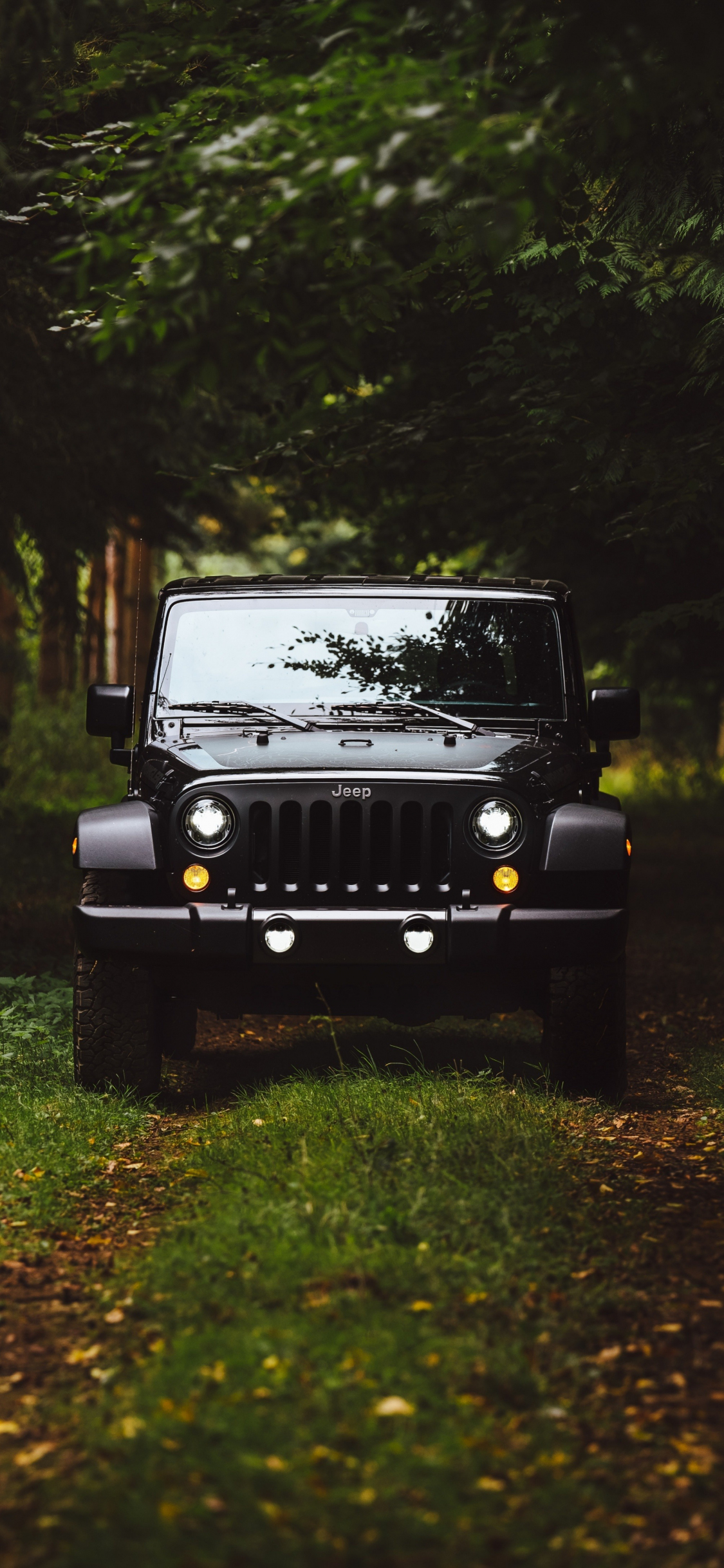 Download wallpaper 1125x2436 black jeep, forest, jeep wrangler, iphone x,  1125x2436 hd background, 2165