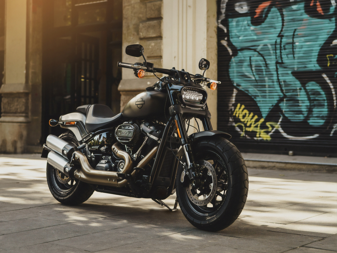 2019 Harley-Davidson, motorcycle, 1152x864 wallpaper
