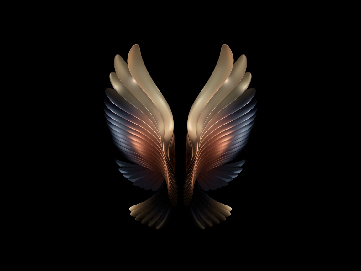 Amoled, angel wings, dark, 1152x864 wallpaper