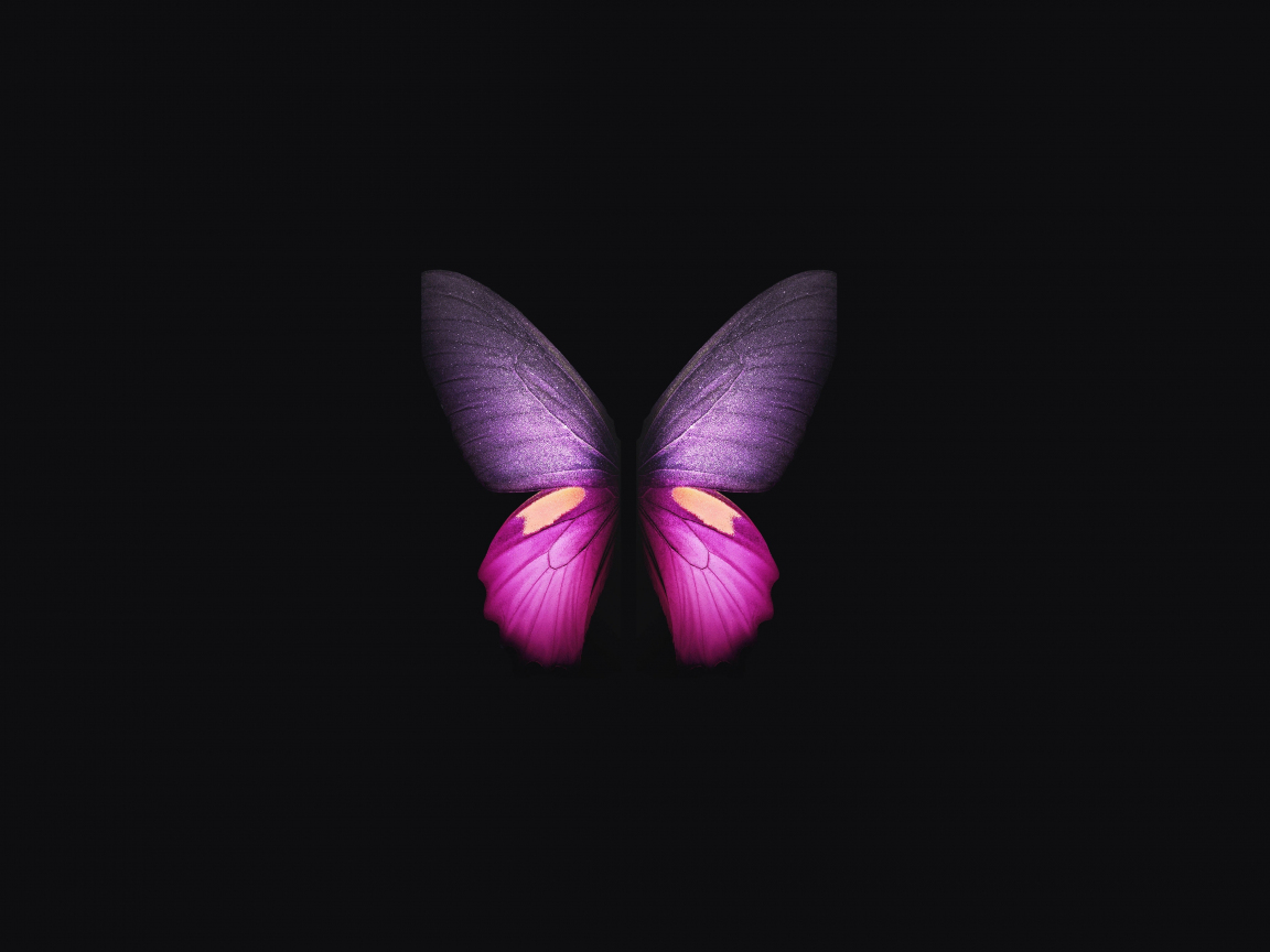 Download wallpaper 1152x864 samsung galaxy fold, pink-purple butterfly,  minimal, standard 4:3 fullscreen 1152x864 hd background, 19959