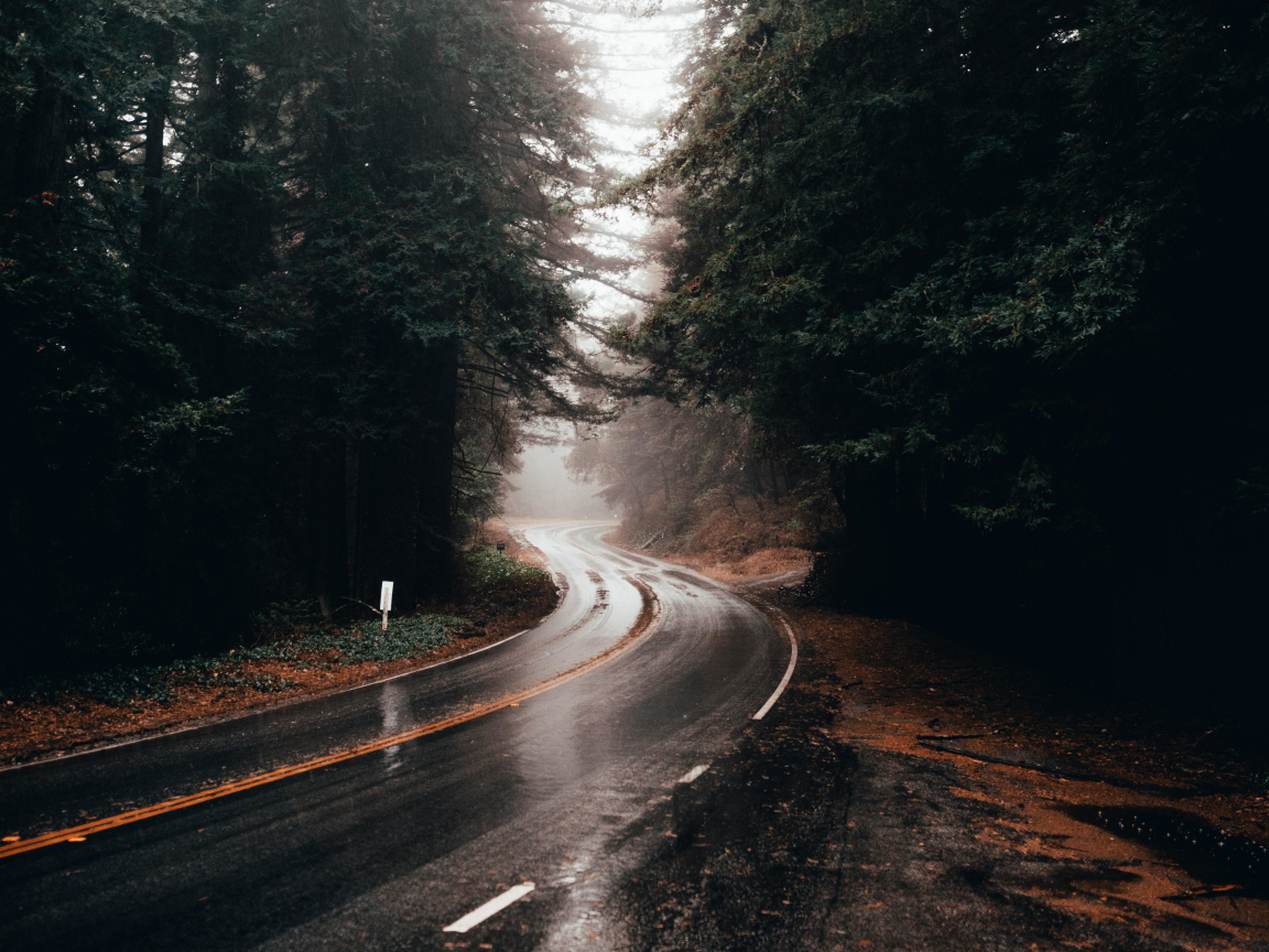 Highway turn, road, rainy, water on road, 1152x864 wallpaper