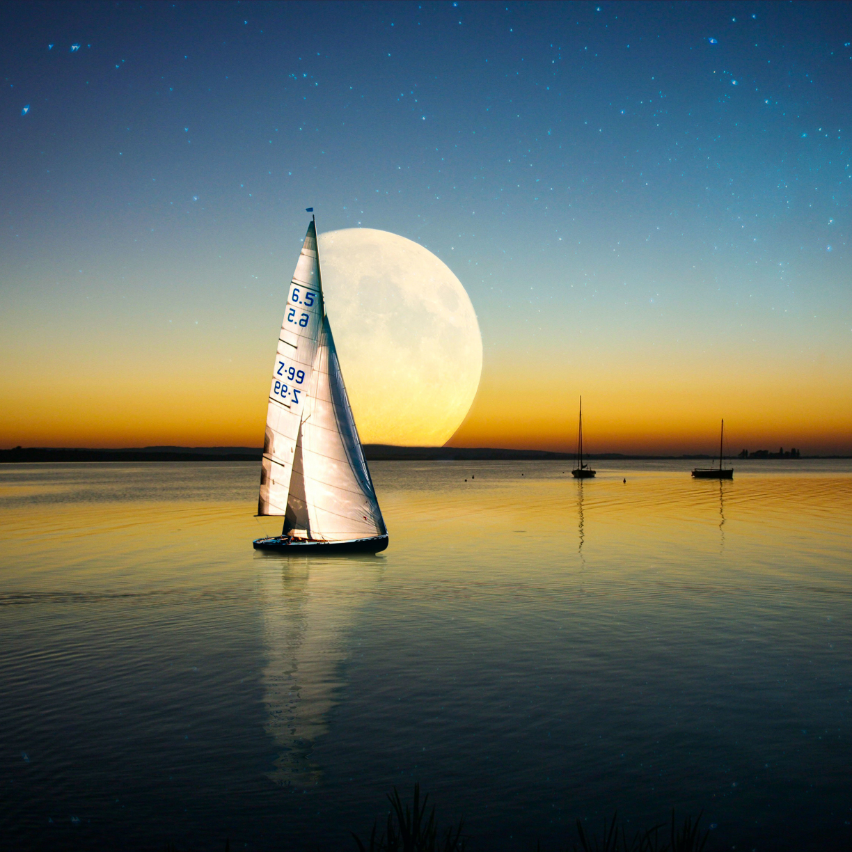 sailboat in moonlight