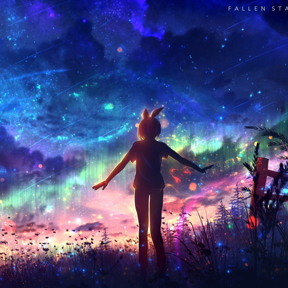 Wallpaper outdoor, night, colorful sky, fallen stars, anime art desktop ...