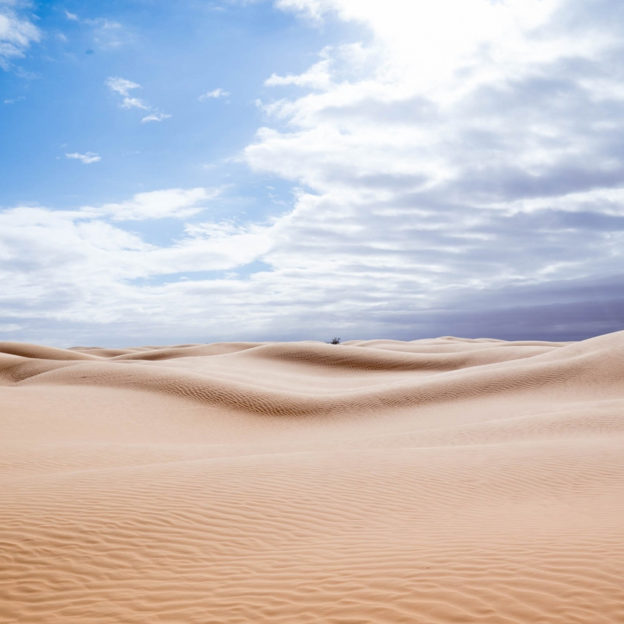 Desert day. Пустыня. Пустыня песок. Пустыня обои. Пейзаж песок.