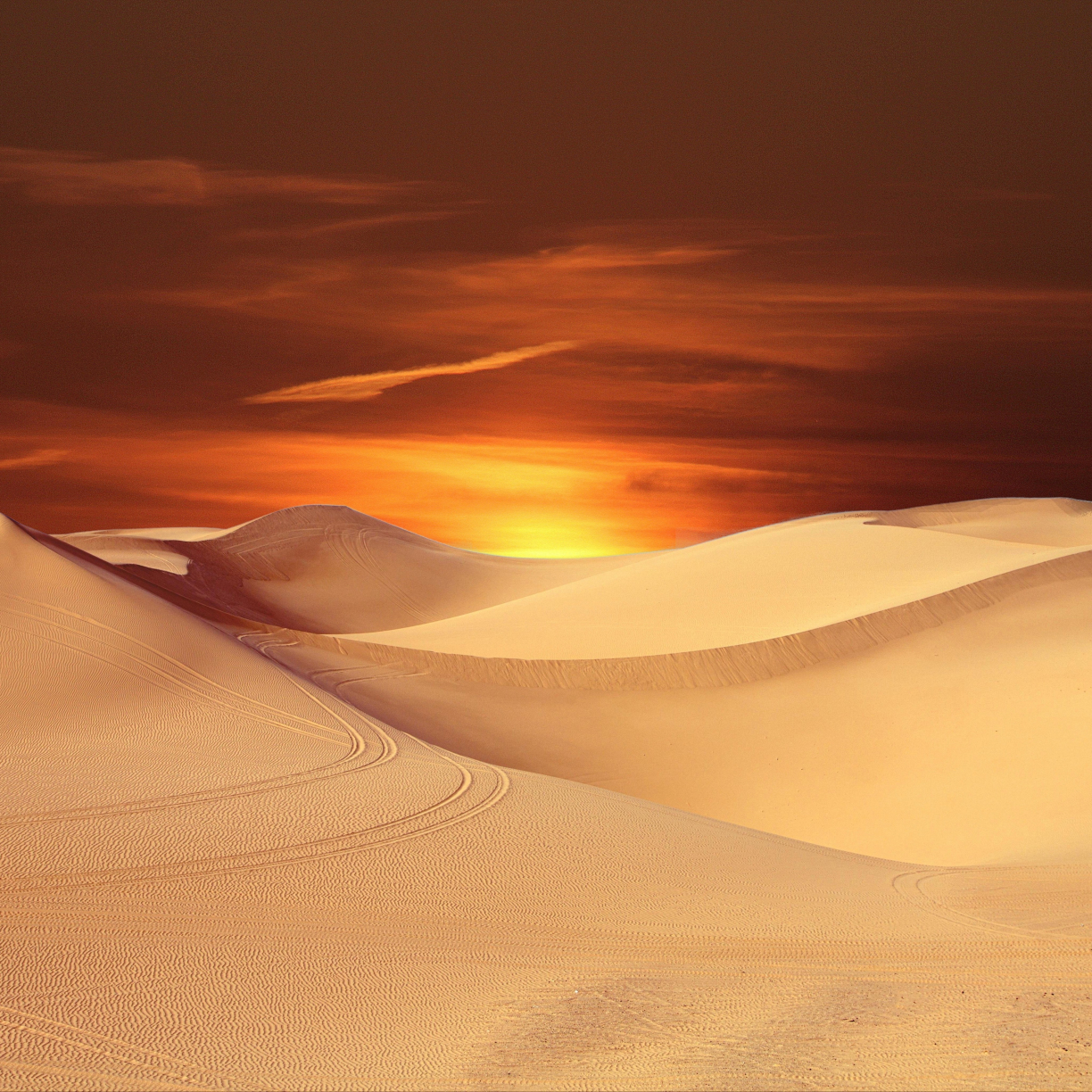 Wallpaper desert, sunset, orange sky, landscape desktop wallpaper, hd ...