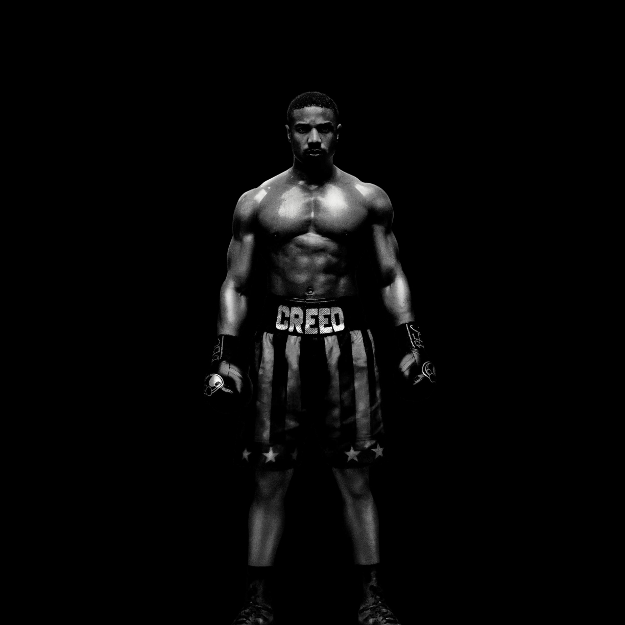 Wallpaper creed ii, michael b. jordan, action movie, poster, 2018, dark ...