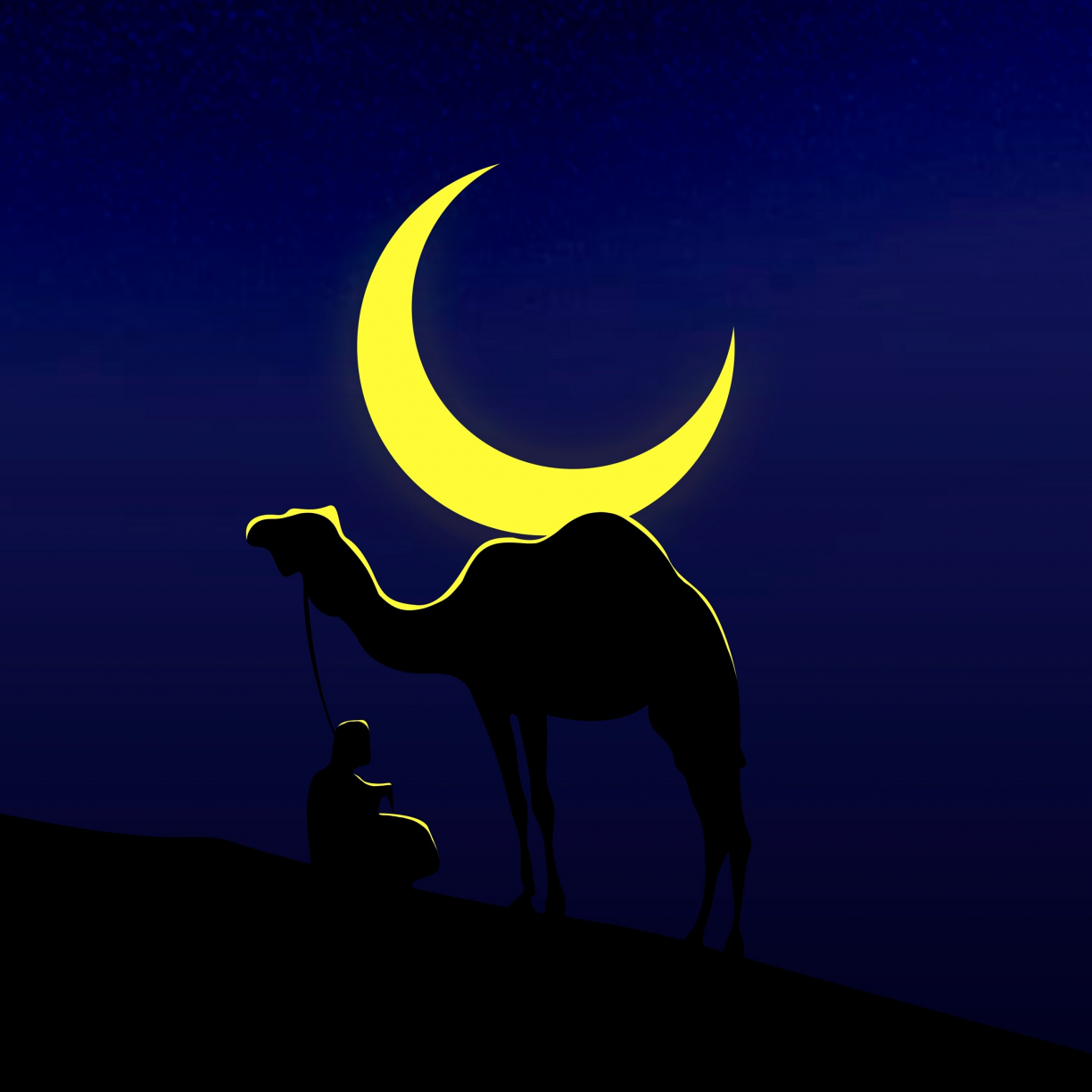 Camel and his master, moon, minimal, 1224x1224 wallpaper