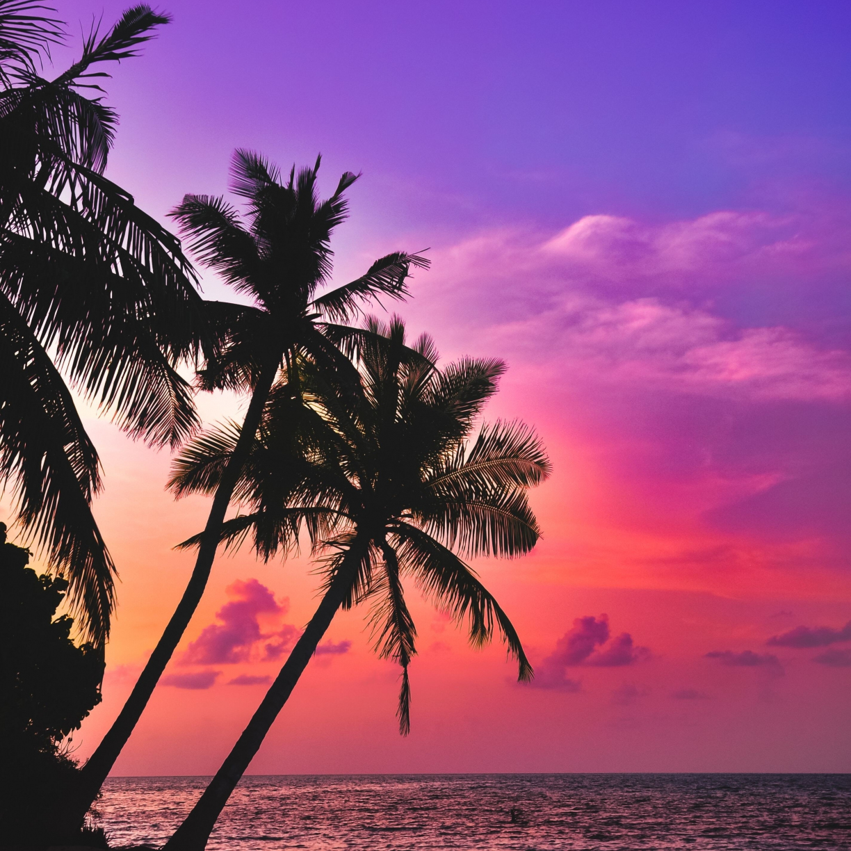 tropical island wallpaper desktop
