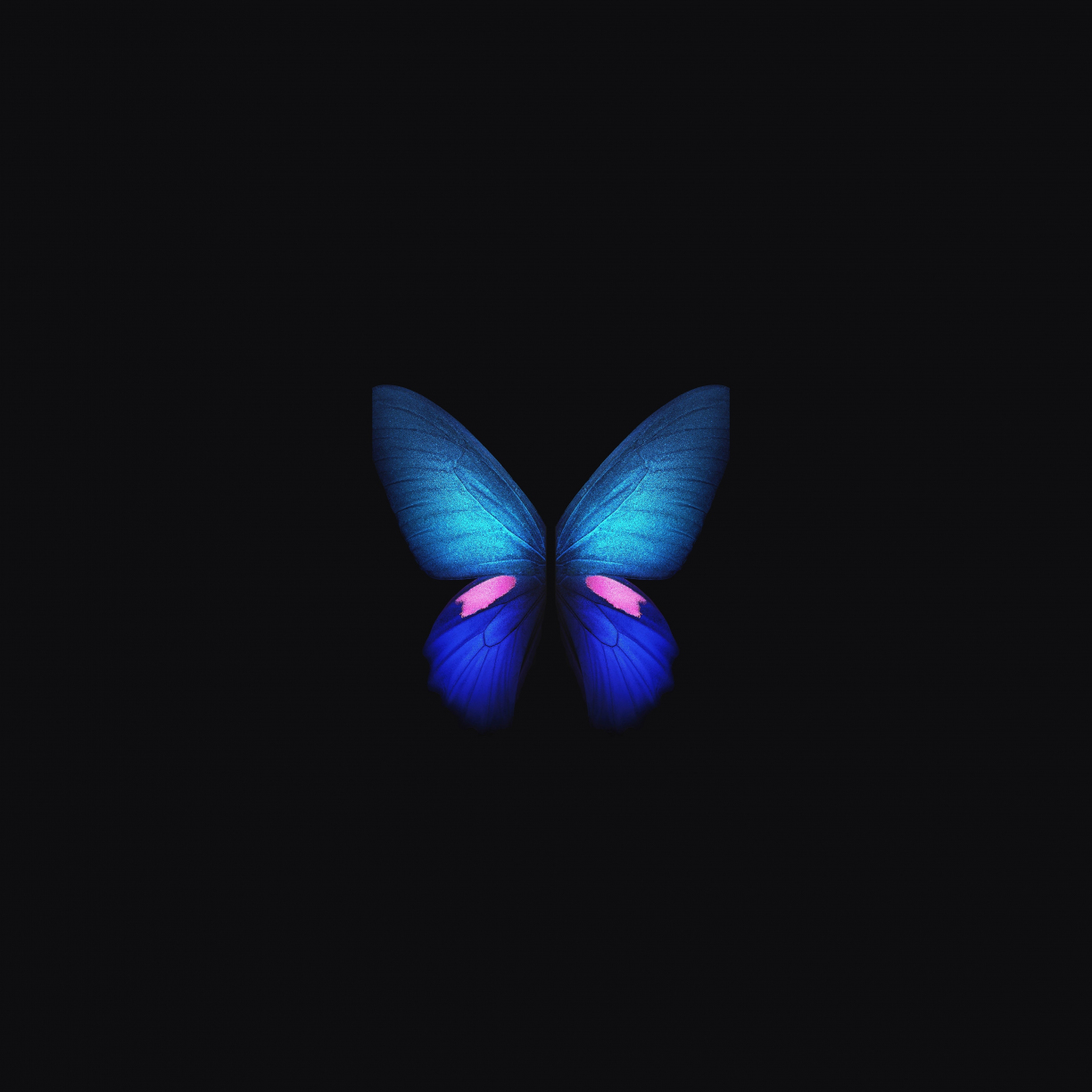 Wallpaper samsung galaxy fold, blue butterfly, minimal, art desktop ...