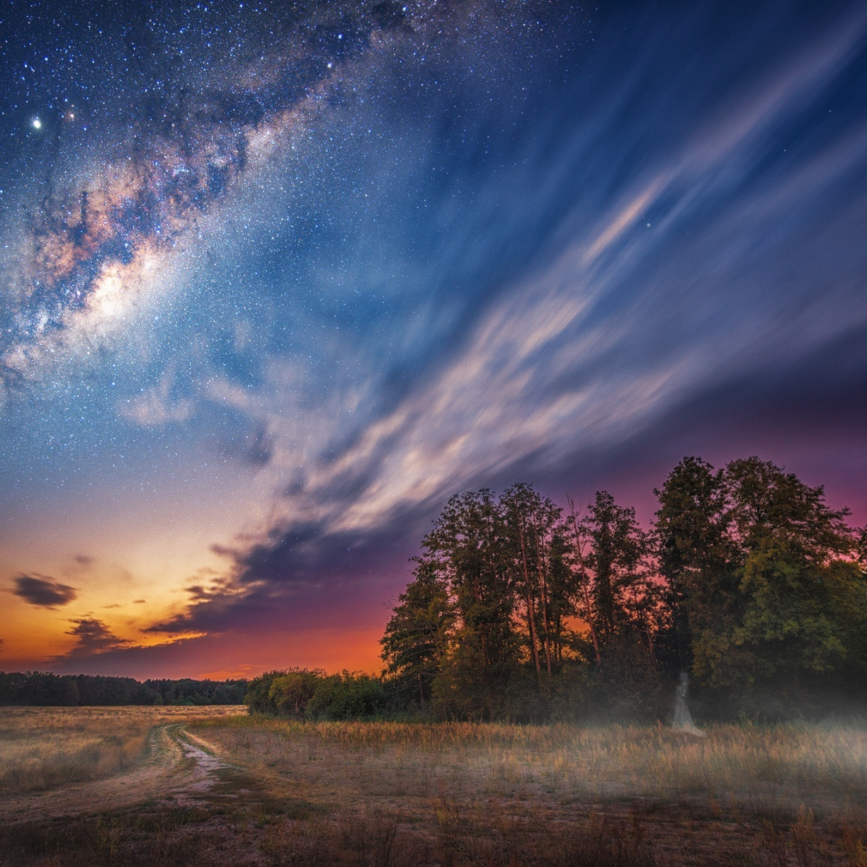 Wallpaper milky way, clouds, night, sky, landscape, tree, stars desktop ...