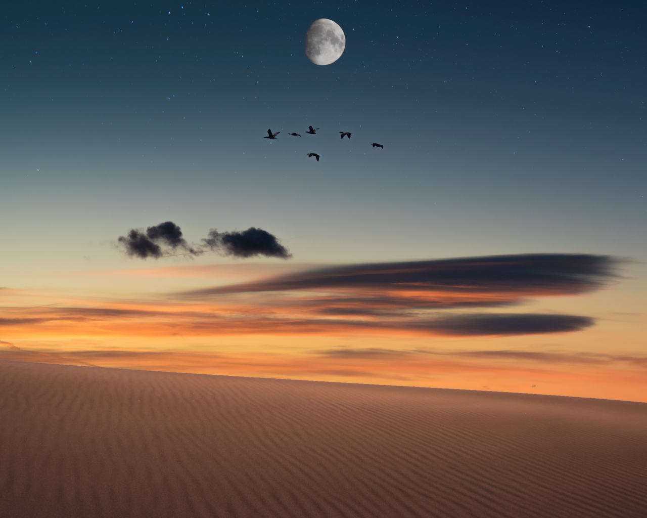 Full moon, birds, landscape, desert, 1280x1024 wallpaper