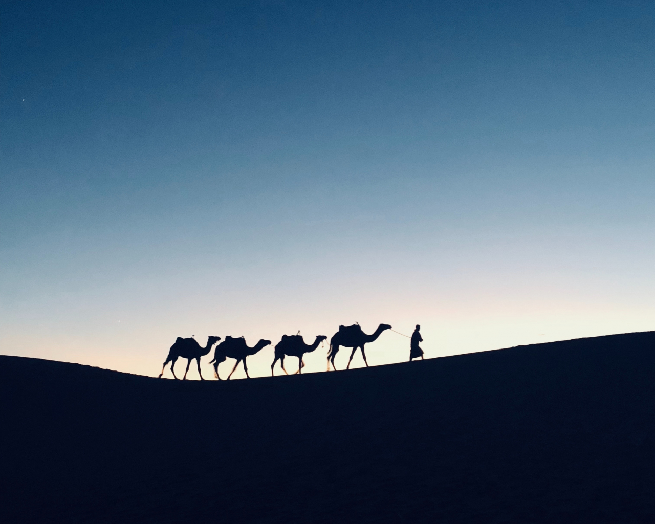Silhouette, sunset, camel, Morocco, 1280x1024 wallpaper