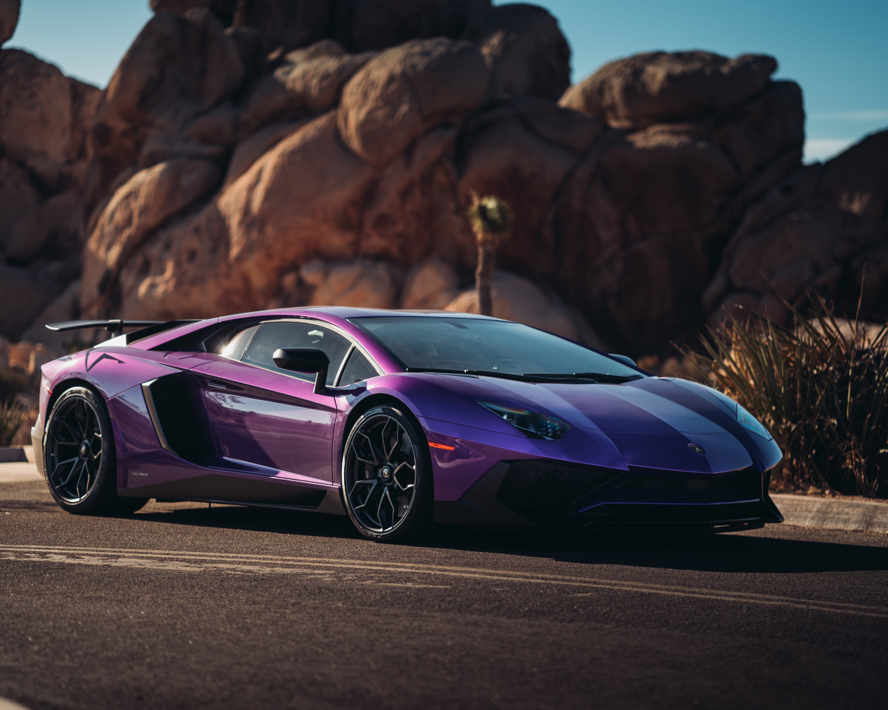 Lamborghini Veneno Purple - Supercars Gallery