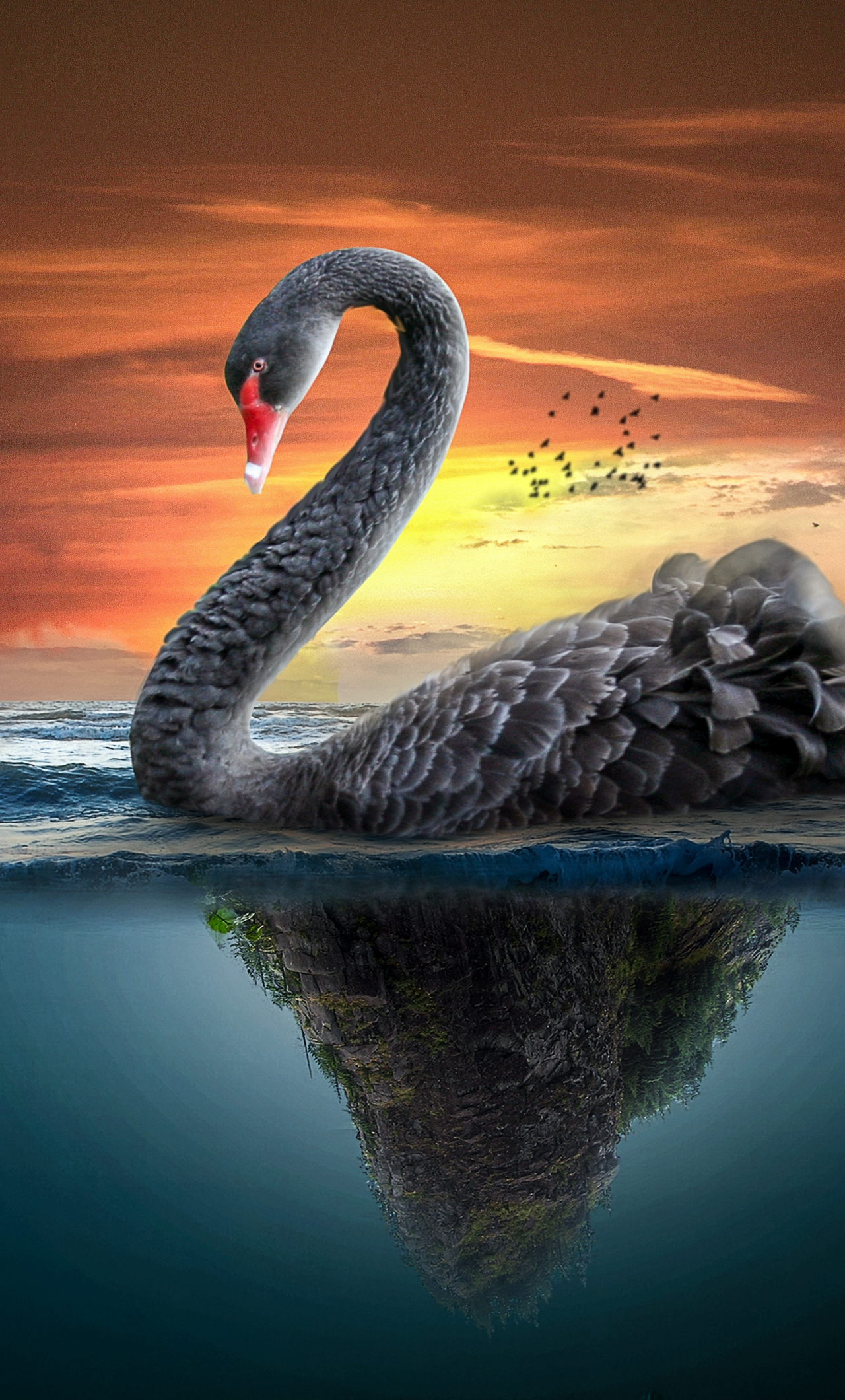 Swan in Mountain Lake Wallpaper  iPhone Android  Desktop Backgrounds