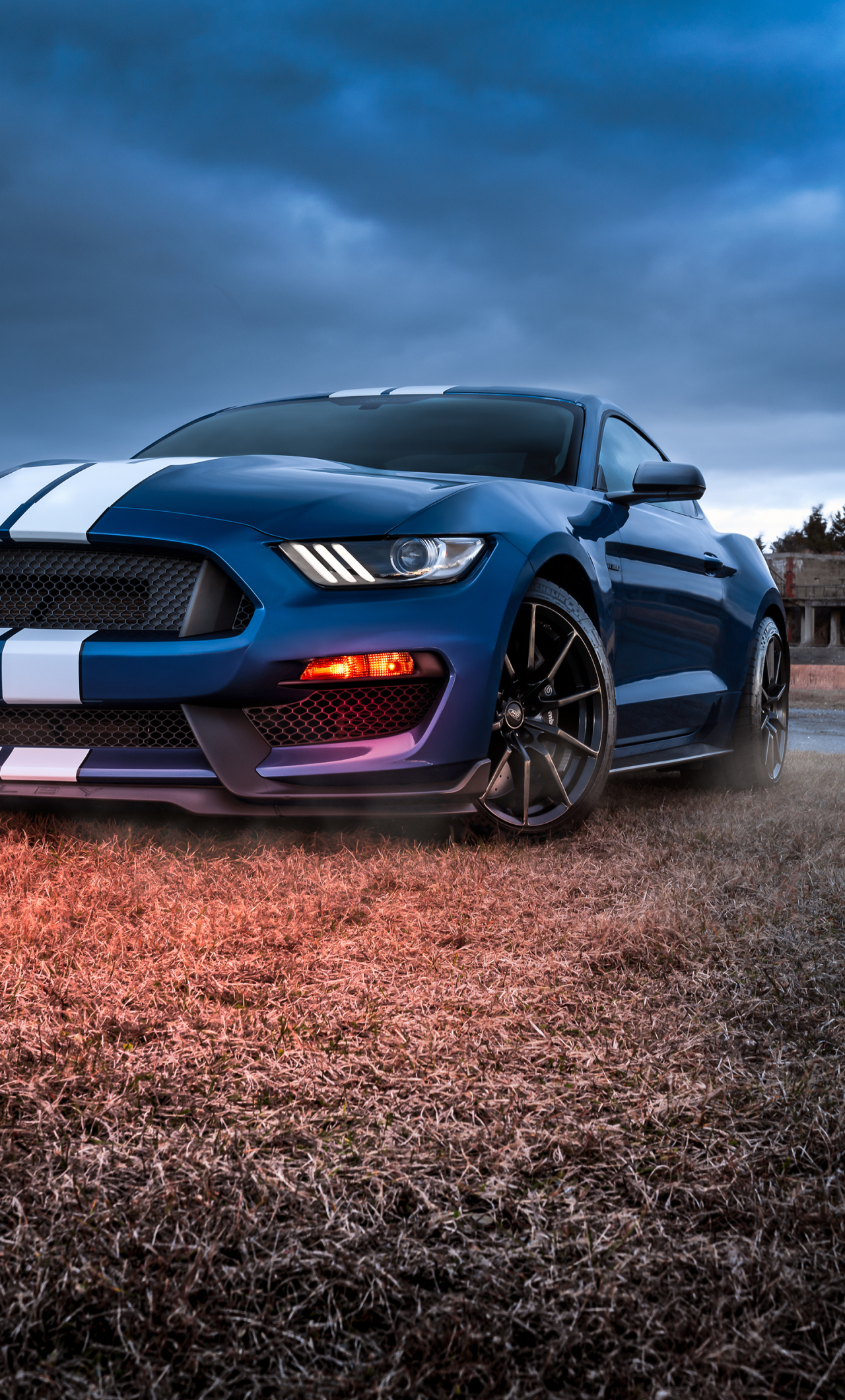 Download wallpaper 1280x2120 ford mustang, shelby gt500, muscle car, iphone  6 plus, 1280x2120 hd background, 25953